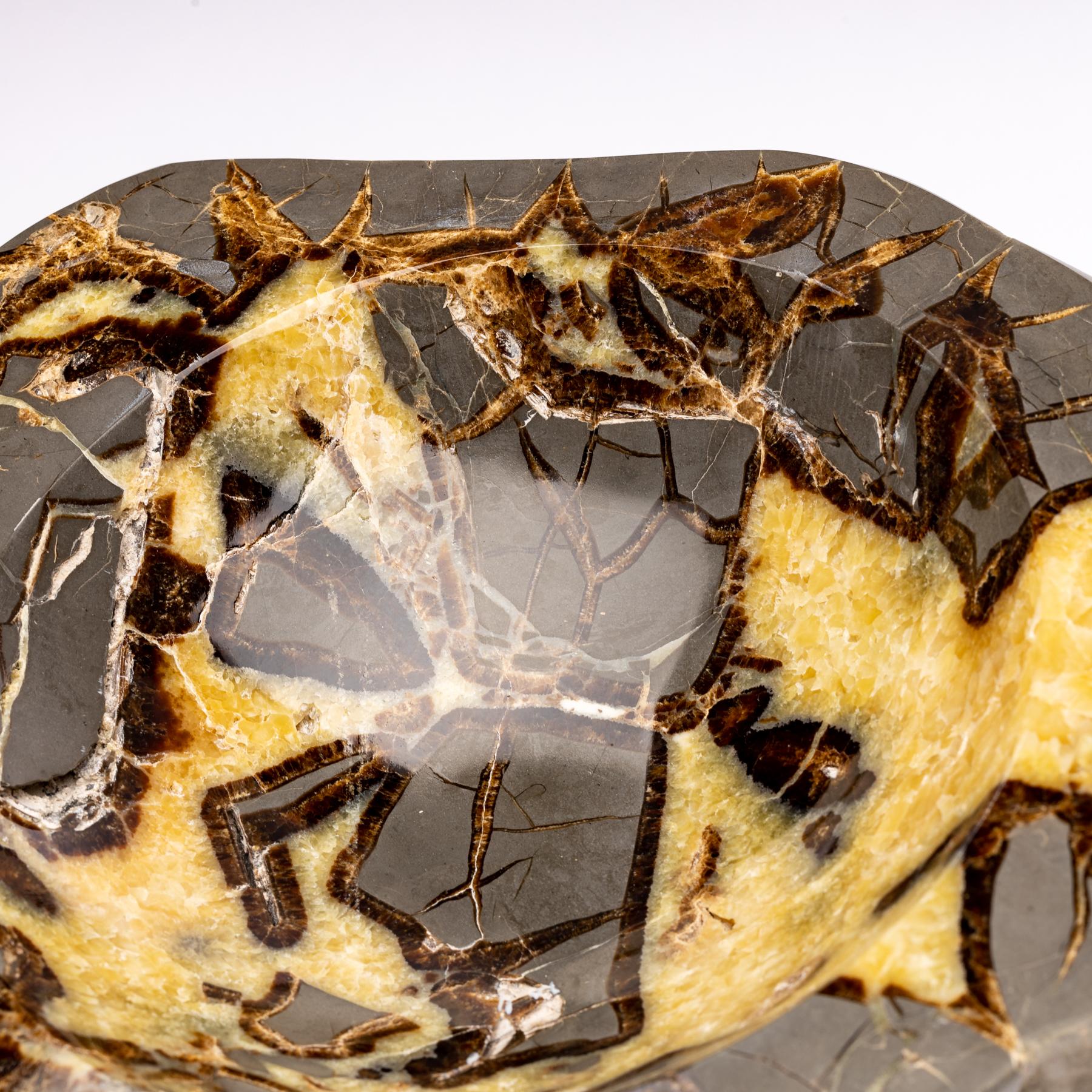 Contemporary Beautiful One of a Kind in Organic Shape Septarian Bowl from Utah For Sale