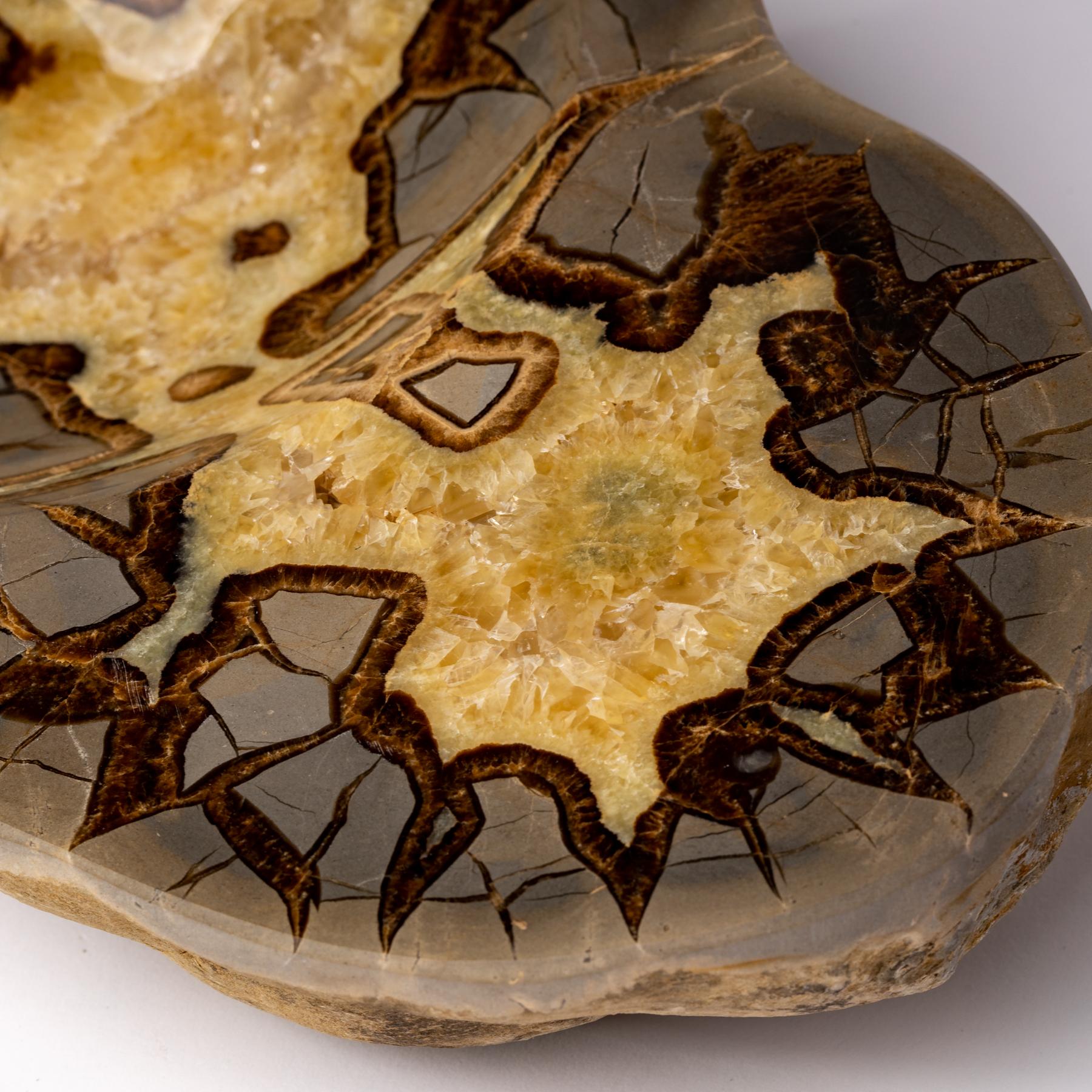 Polished Beautiful One of a Kind in Organic Shape Septarian Bowl from Utah