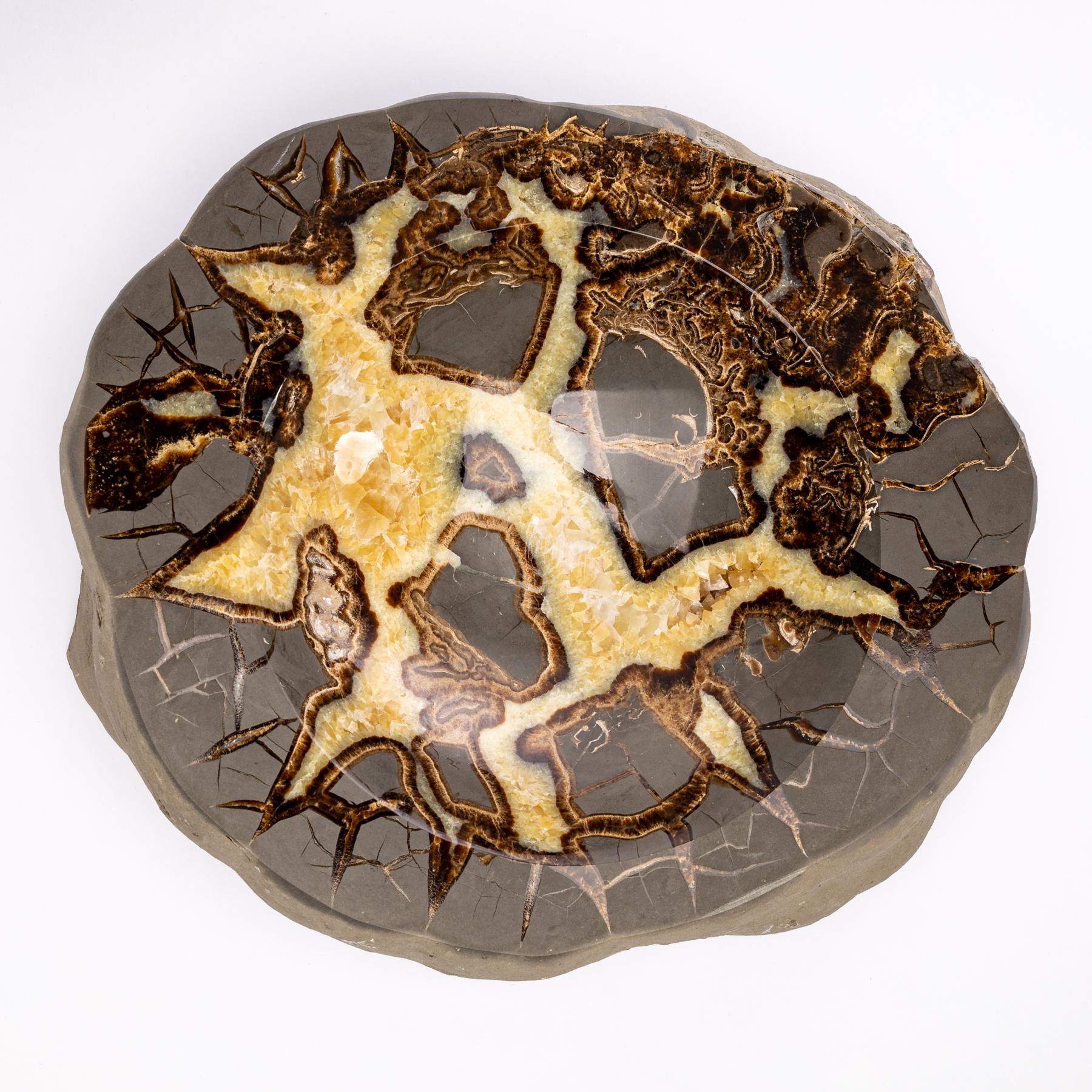 Other Beautiful One of a Kind in Organic Shape Septarian Bowl from Utah For Sale