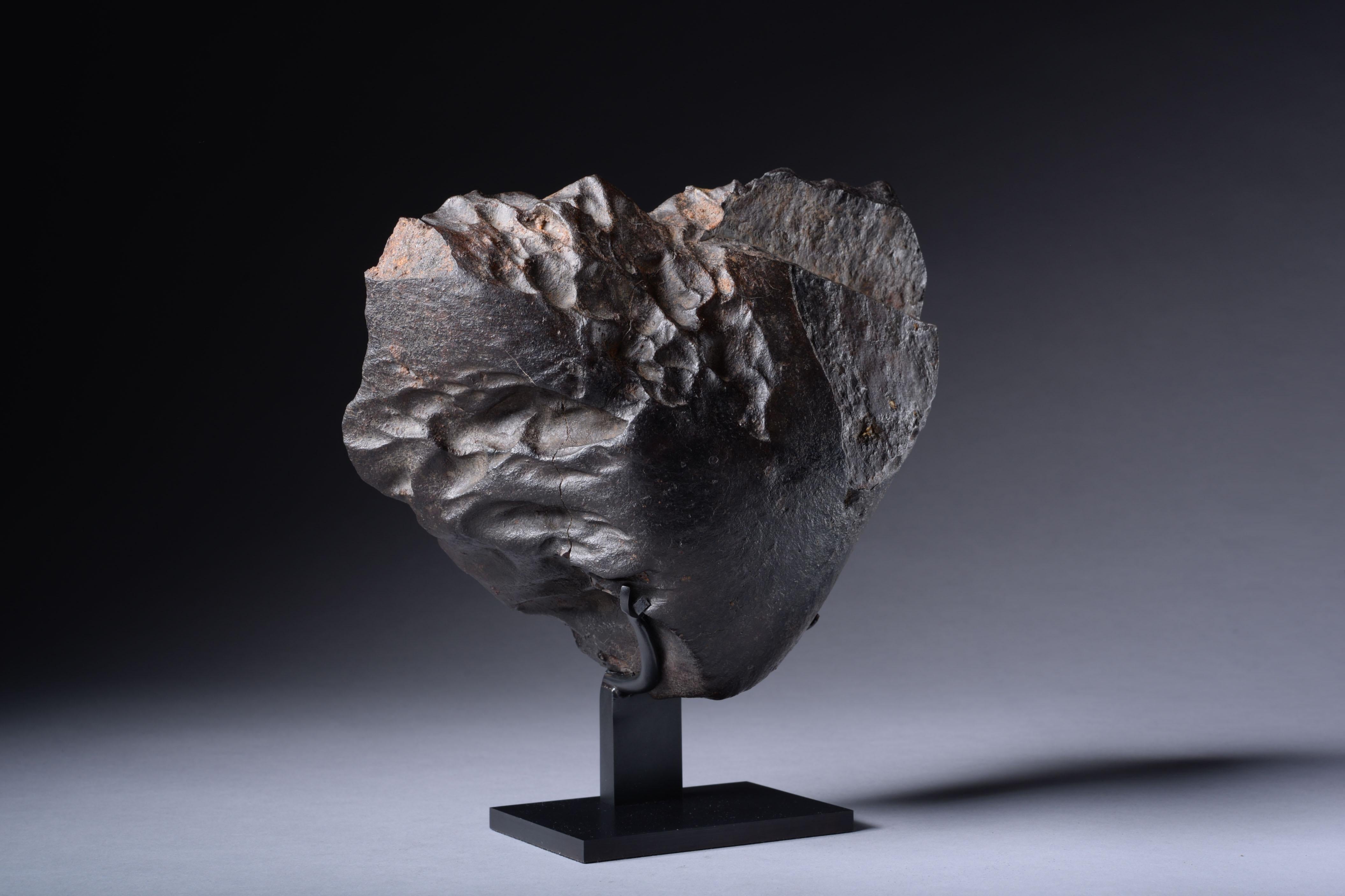 meteorite martienne prix