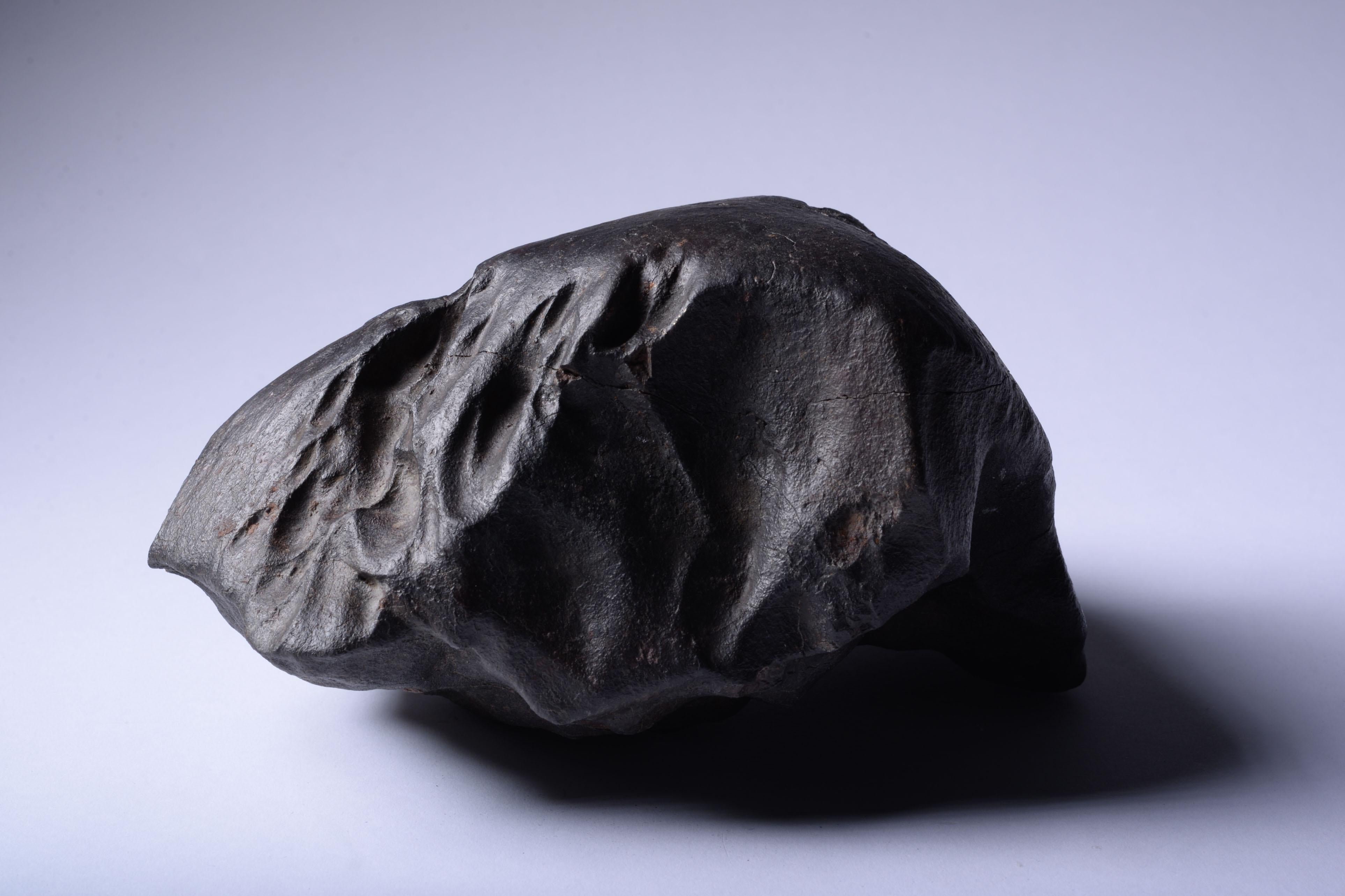 prix meteorite chondrite