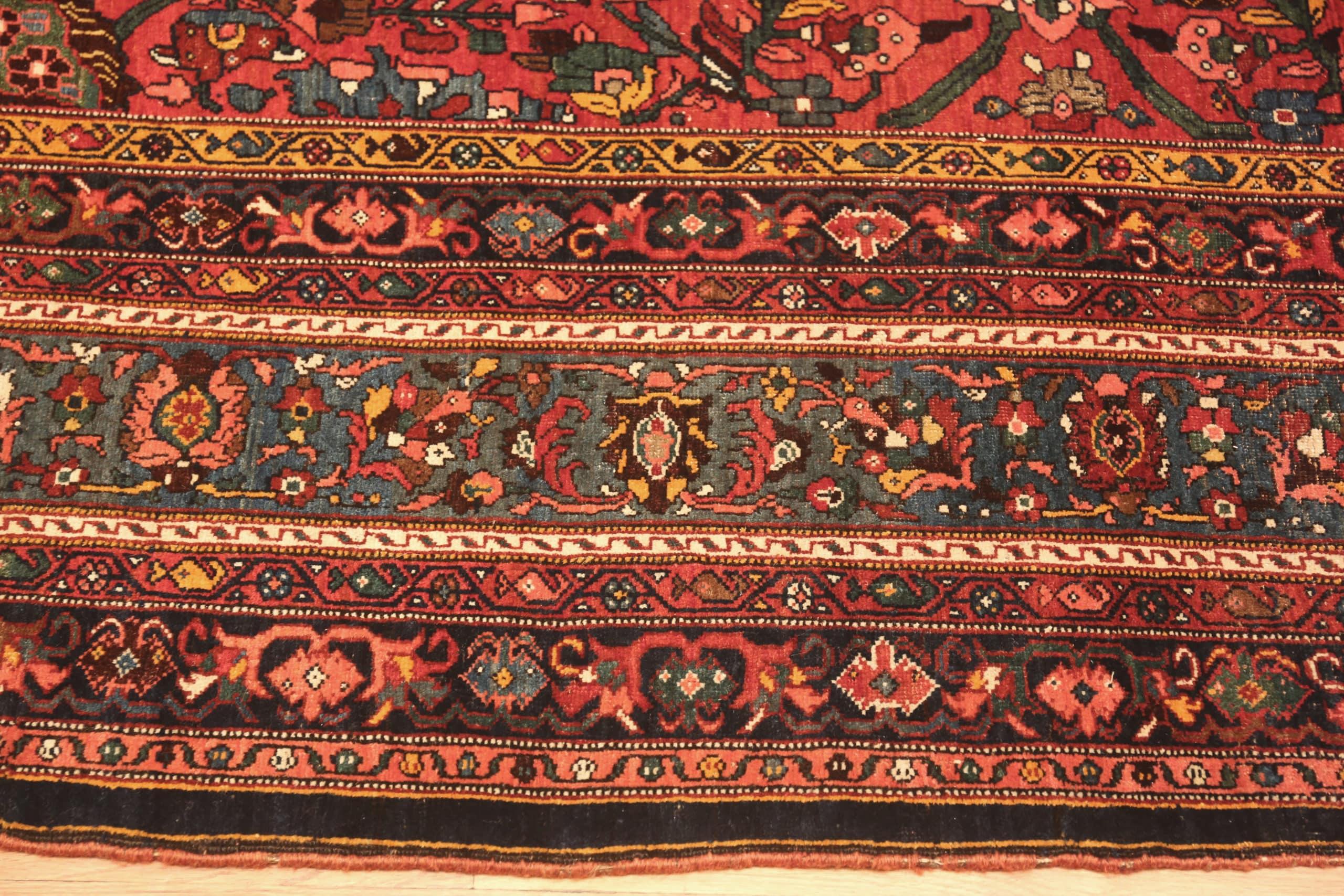 Magnifique tapis ancien Bidjar persan surdimensionné, Pays d'origine : Perse, Circa Date : 1920