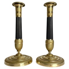 Preciosa pareja de candeleros Imperio en bronce dorado y patinado oscuro. 1820s
