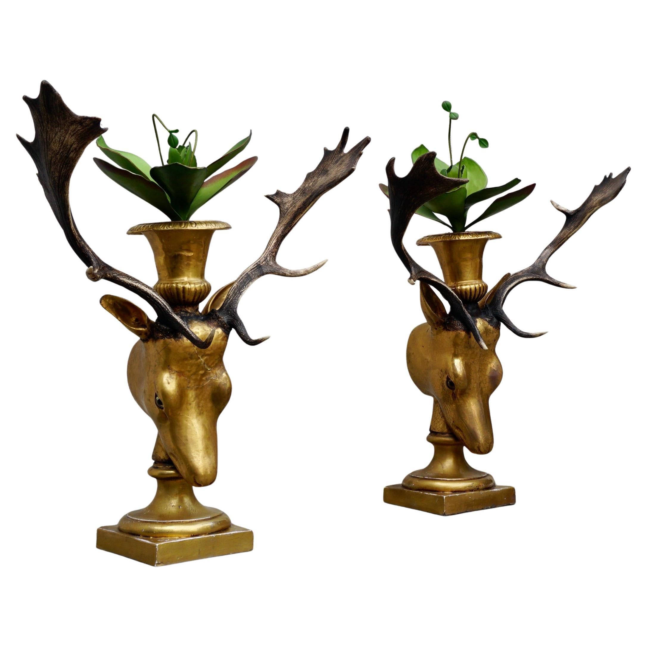 Beautiful Pair of Golden Deer Heads with Antlers and Flower Pots