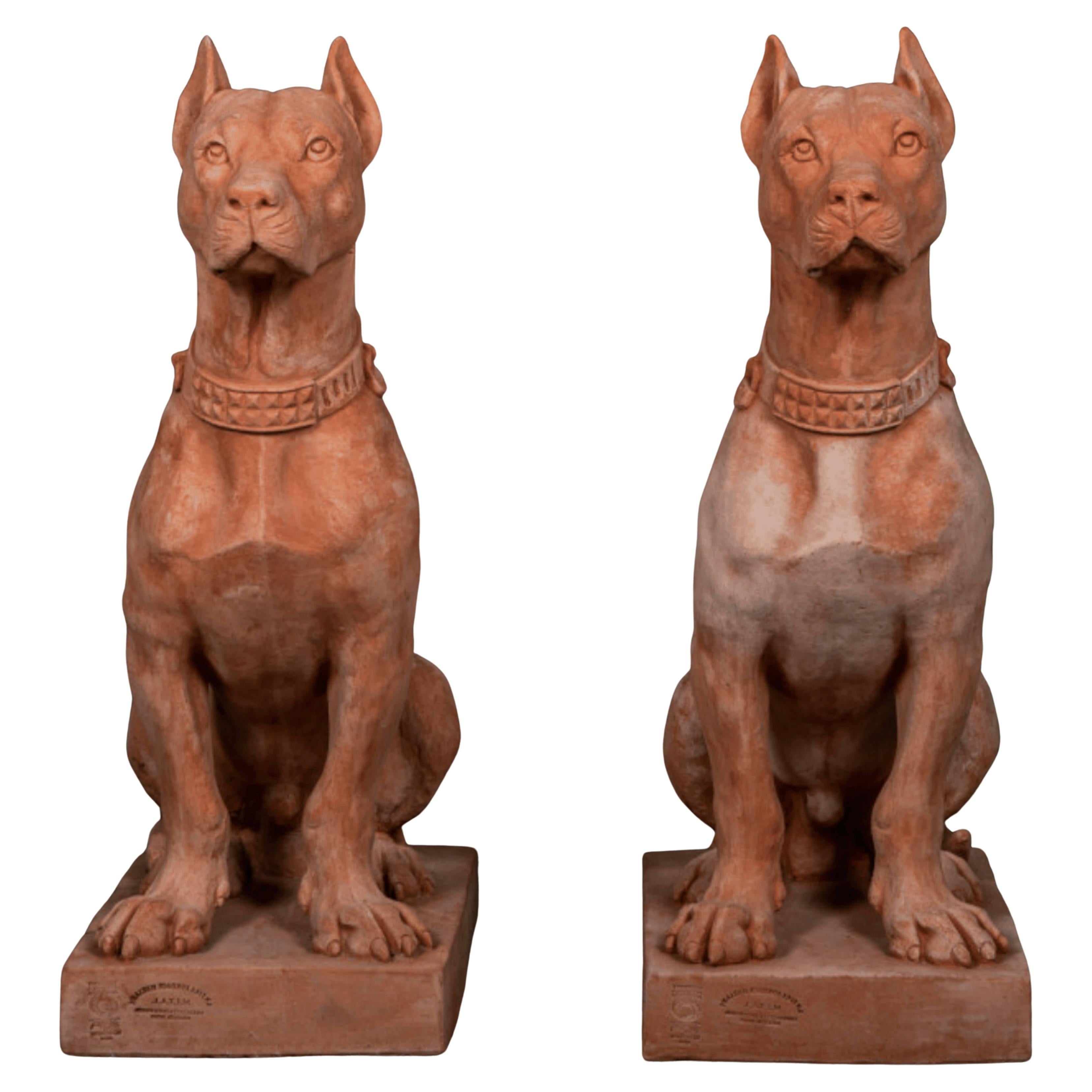 Fatto a mano Bellissima coppia di  Cani in terracotta dell'Impruneta - H 70 cm inizio XX secolo in vendita