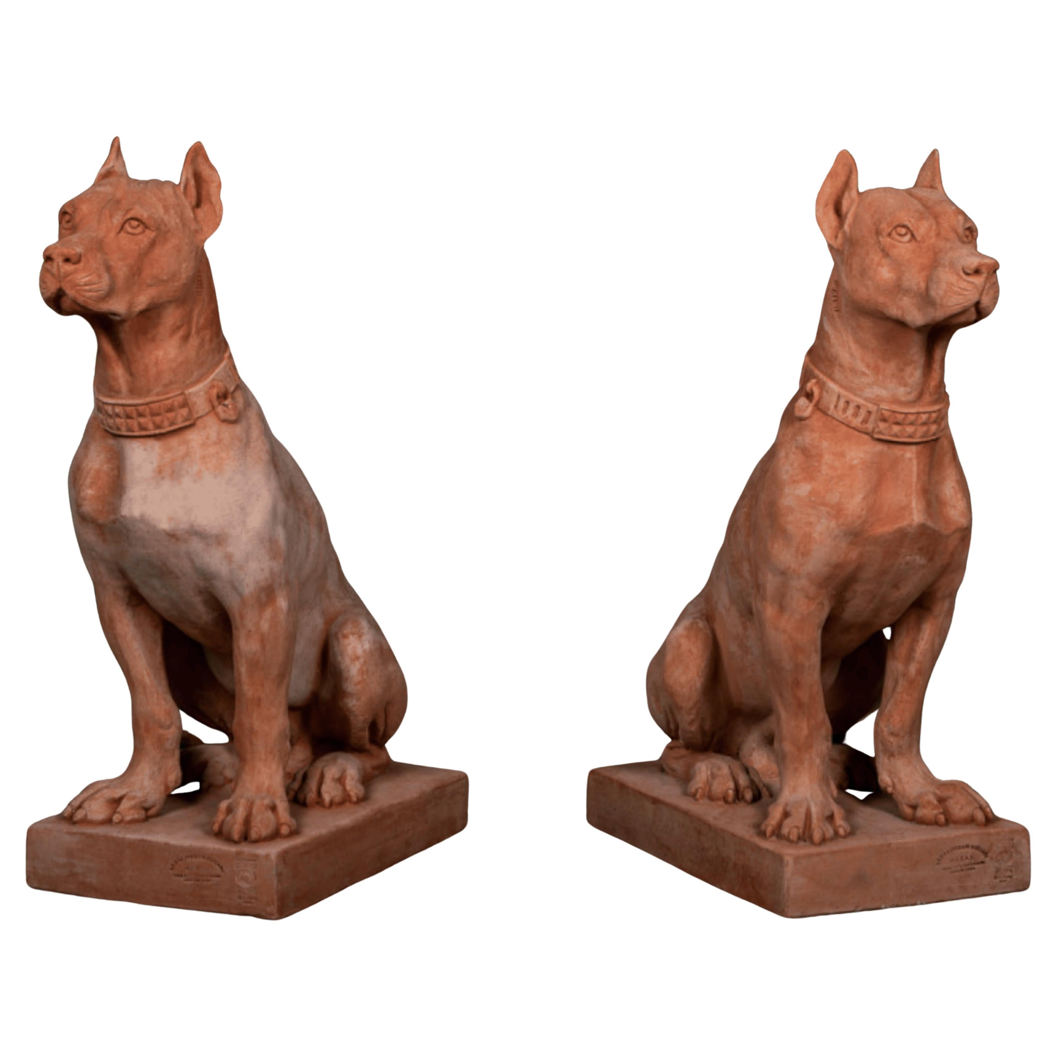 Bellissima coppia di  Cani in terracotta dell'Impruneta - H 70 cm inizio XX secolo In condizioni buone in vendita a Madrid, ES