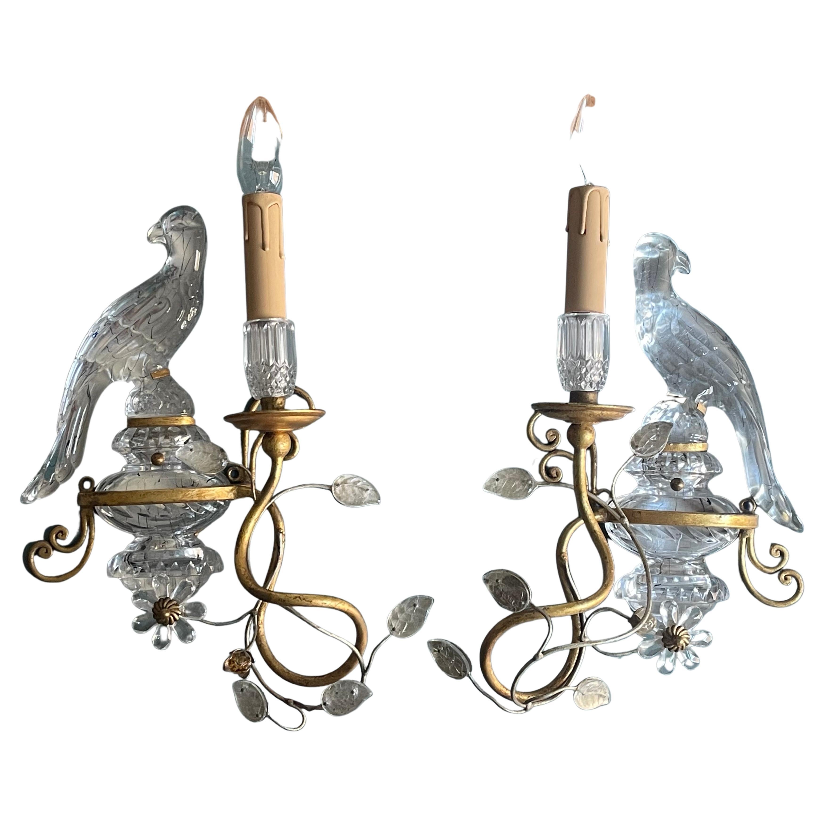 A wonderful gilt iron and crystal parrots wall sconces by Giovanni Banci, Italy, circa 1970s.

Socket: Each One x Edison (E14) for standard screw bulbs.

In an excellent condition.

