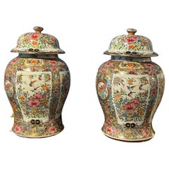 Beautiful Pair of Mandarin Chinese Vases 19th century