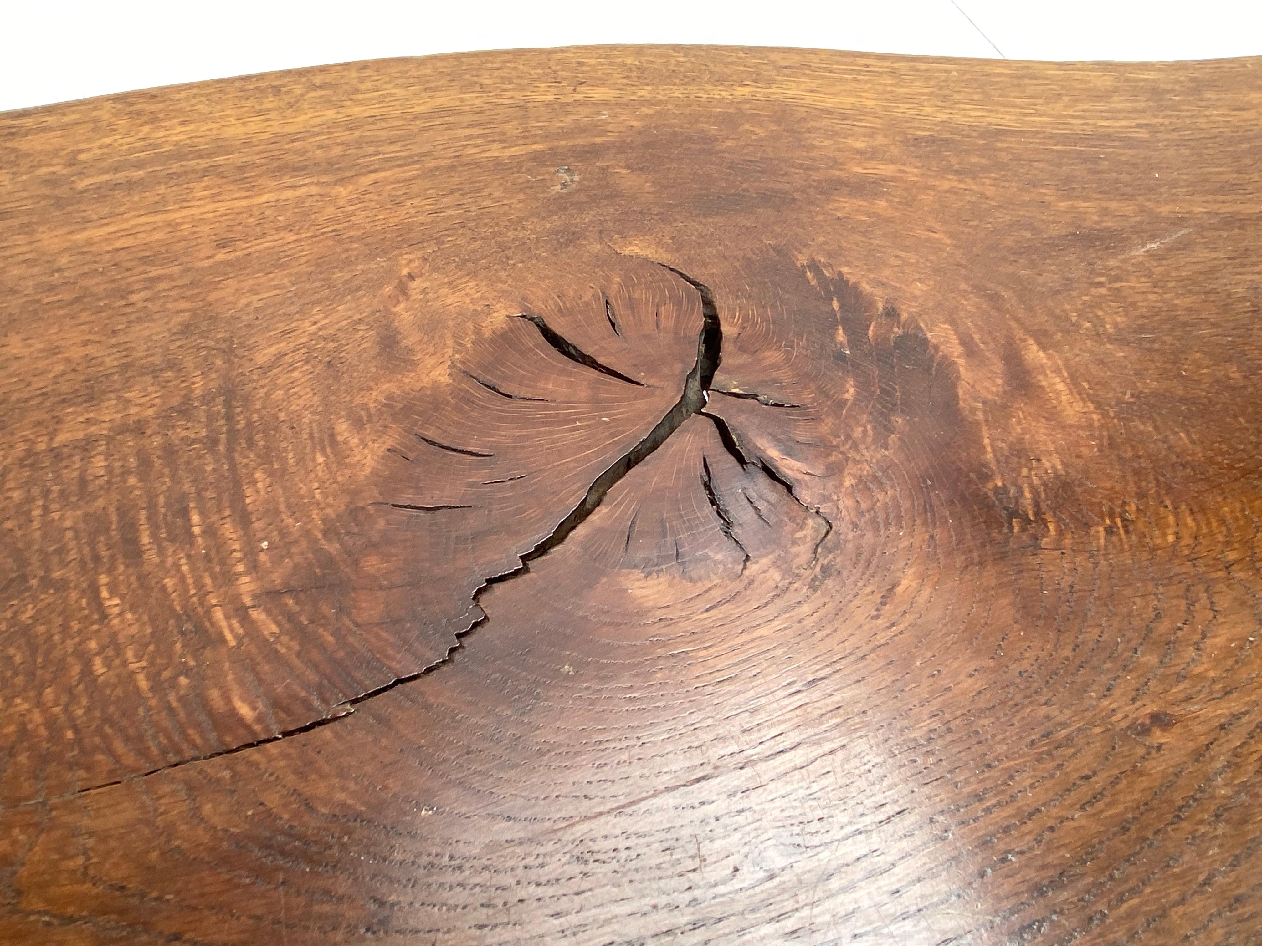 Beautiful Patinated Rustic Oak Tree Trunk Coffee Table, The Netherlands, 1960s For Sale 4