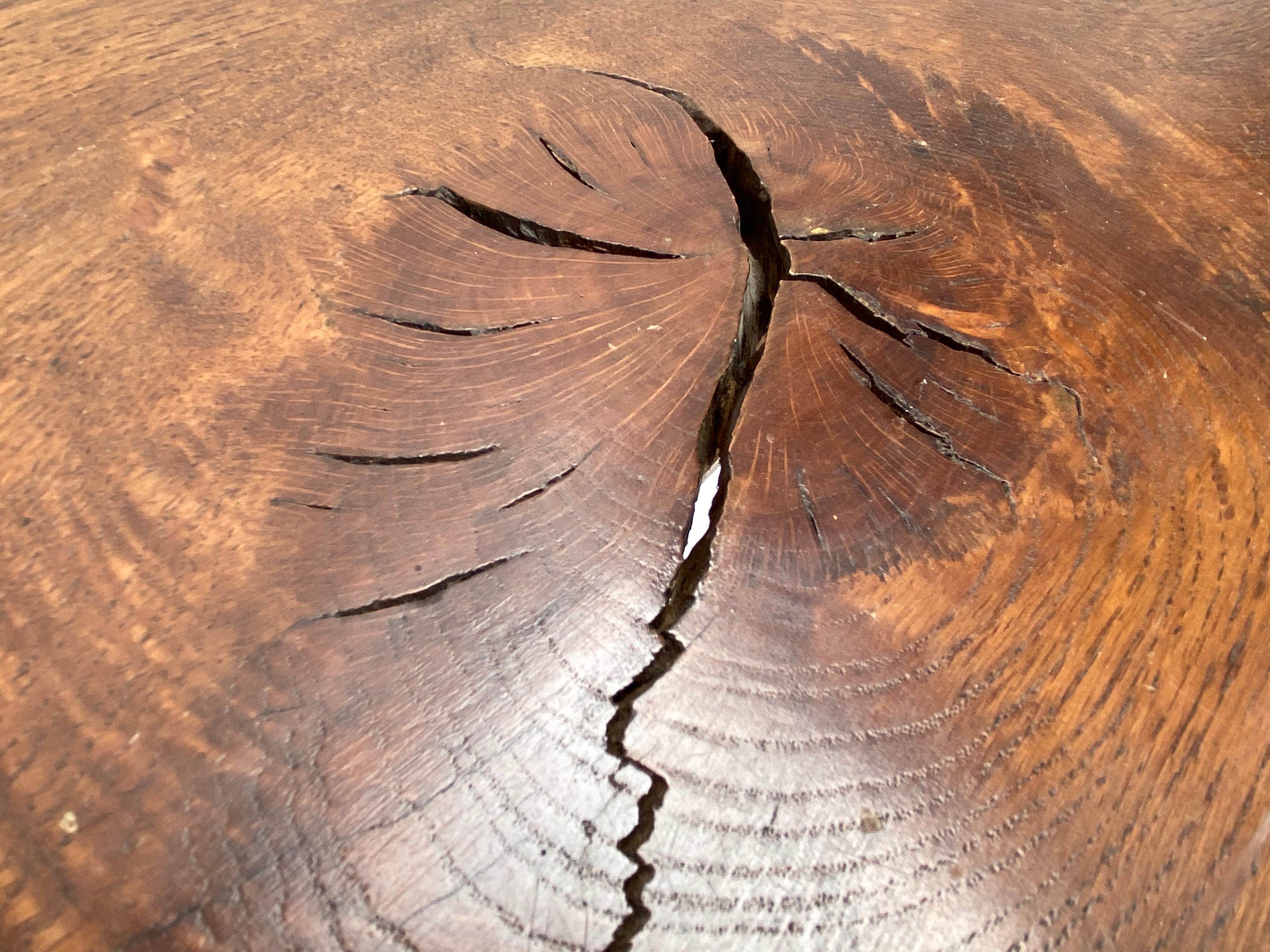 Carved Beautiful Patinated Rustic Oak Tree Trunk Coffee Table, The Netherlands, 1960s For Sale