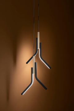 Beautiful  Pendant Light  Decorative Metal Elements