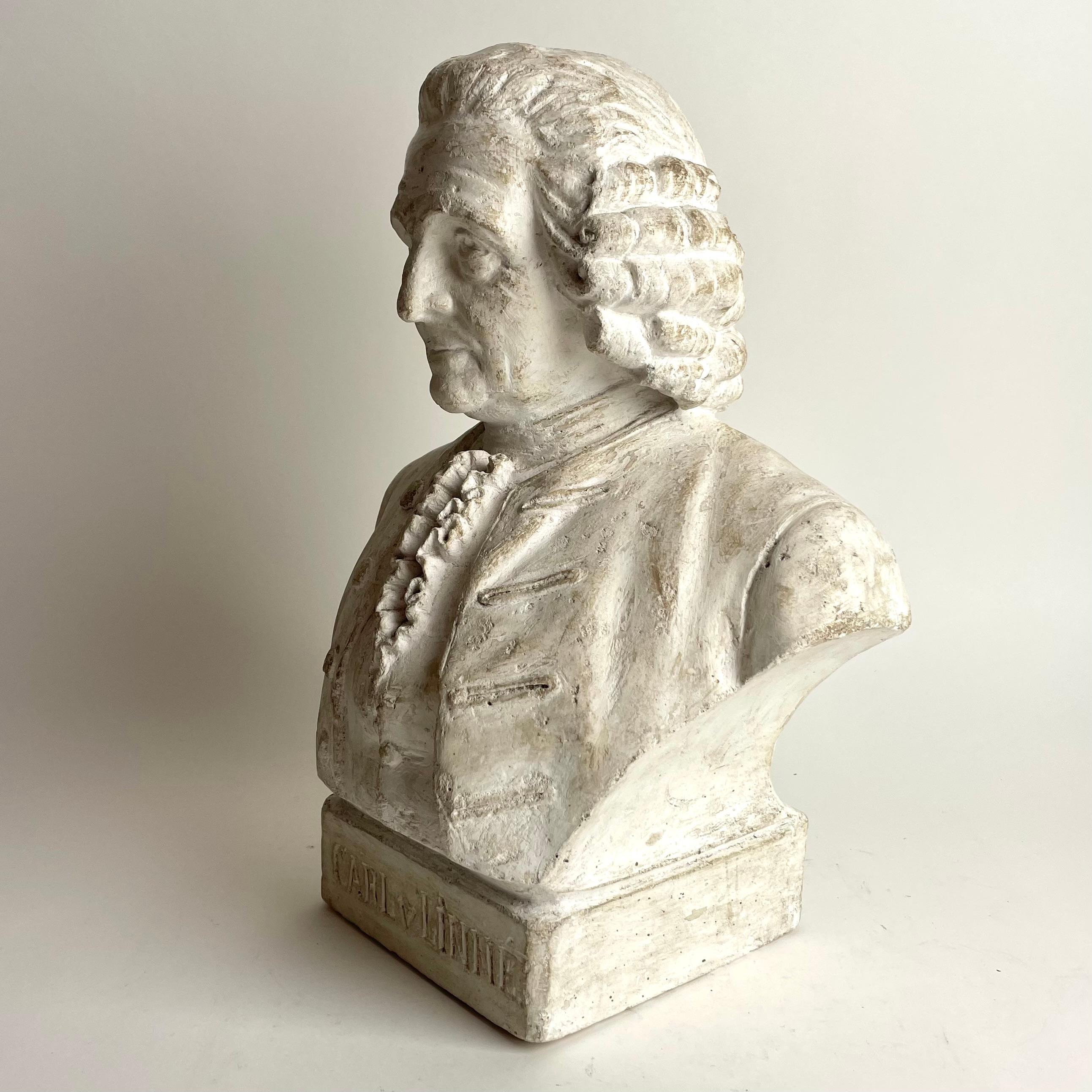 Precioso busto de escayola del famoso científico sueco Carl von Linne. Sueco en venta