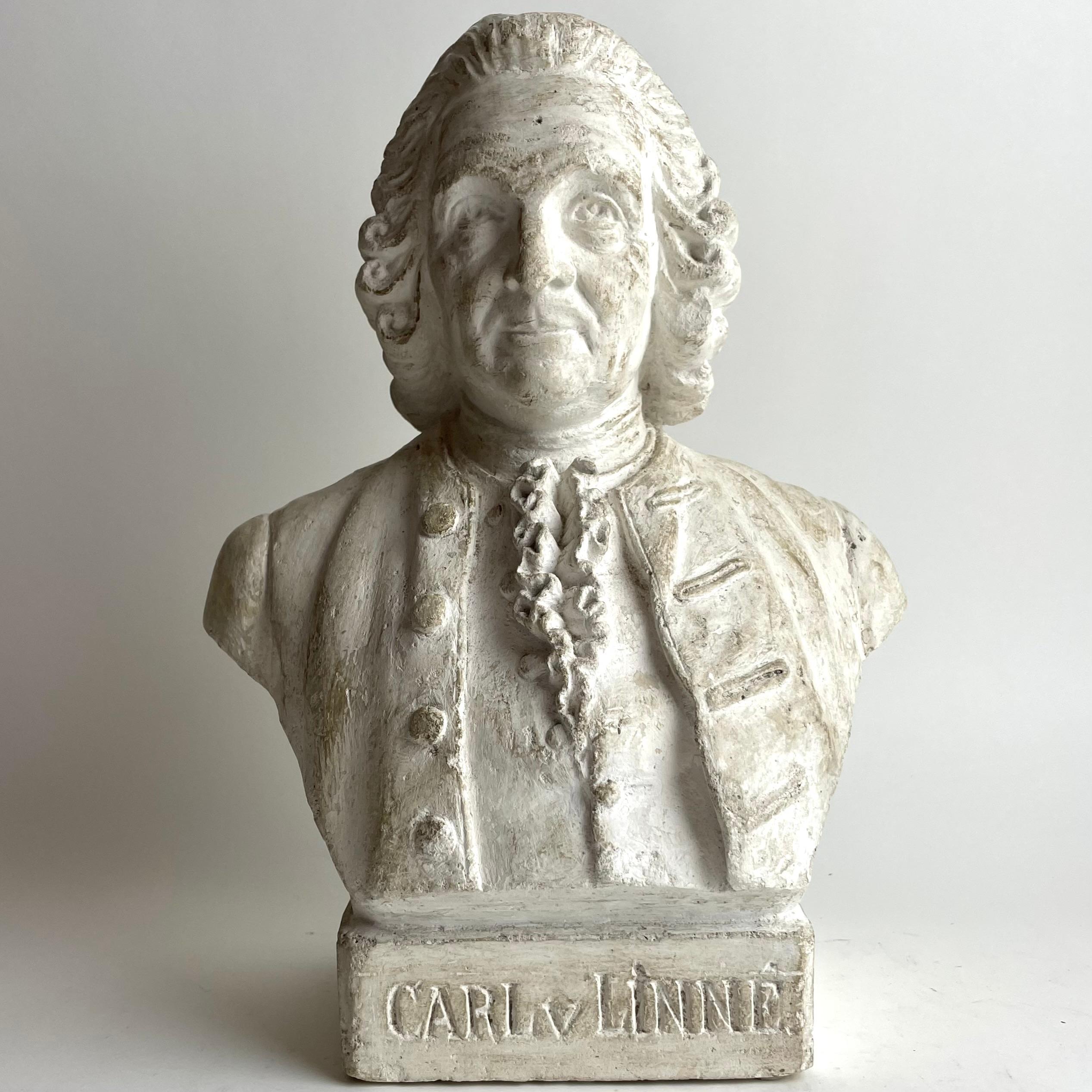 Precioso busto de escayola del famoso científico sueco Carl von Linne. en Bueno estado para la venta en Knivsta, SE