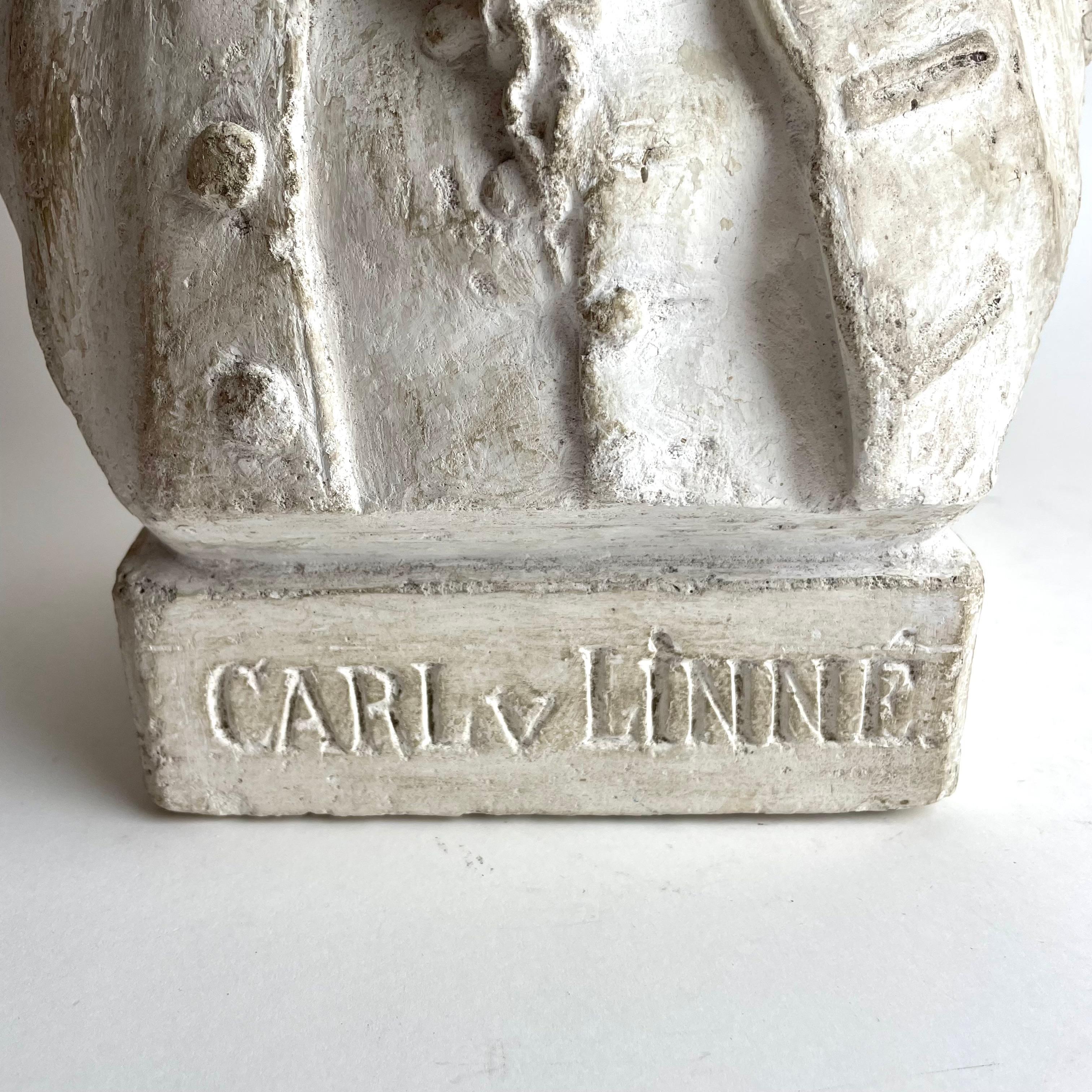 Precioso busto de escayola del famoso científico sueco Carl von Linne. en venta 1