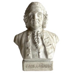 Bellissimo busto in gesso del famoso scienziato svedese Carl von Linne.