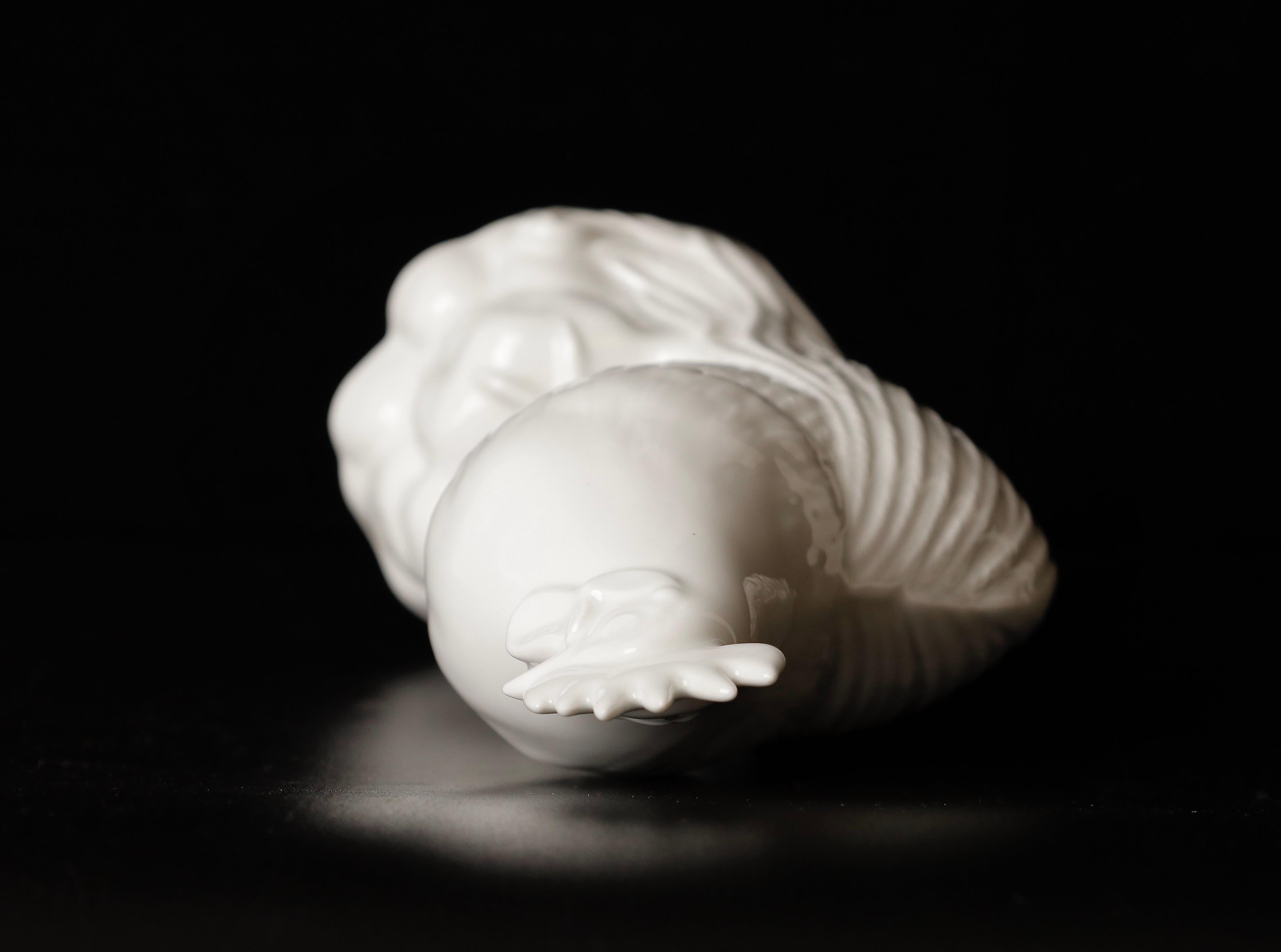 Magnifique objet Okimono en porcelaine avec coq par Shozan en vente 11