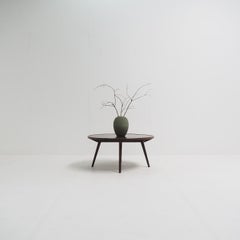 Beautiful Rural Coffee Table with Contemporary Architecture