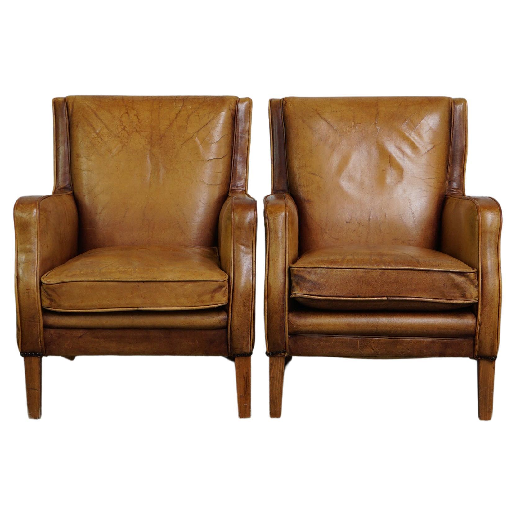 Magnifique ensemble de fauteuils en cuir de couleur cognac clair, style anglais