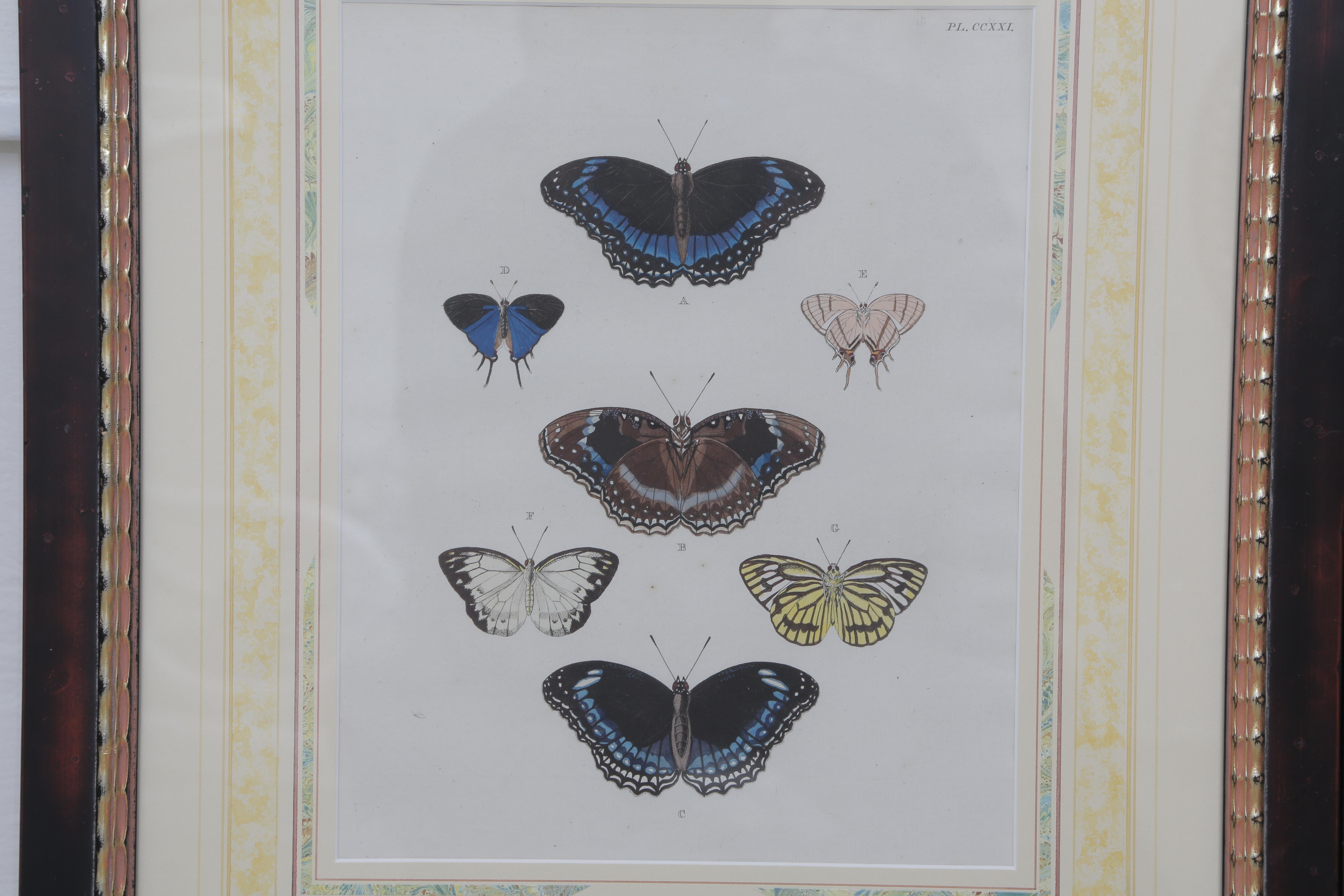 Beautiful Set of Six French 19th Century Framed Hand Color Engraved Butterfly In Excellent Condition In West Palm Beach, FL