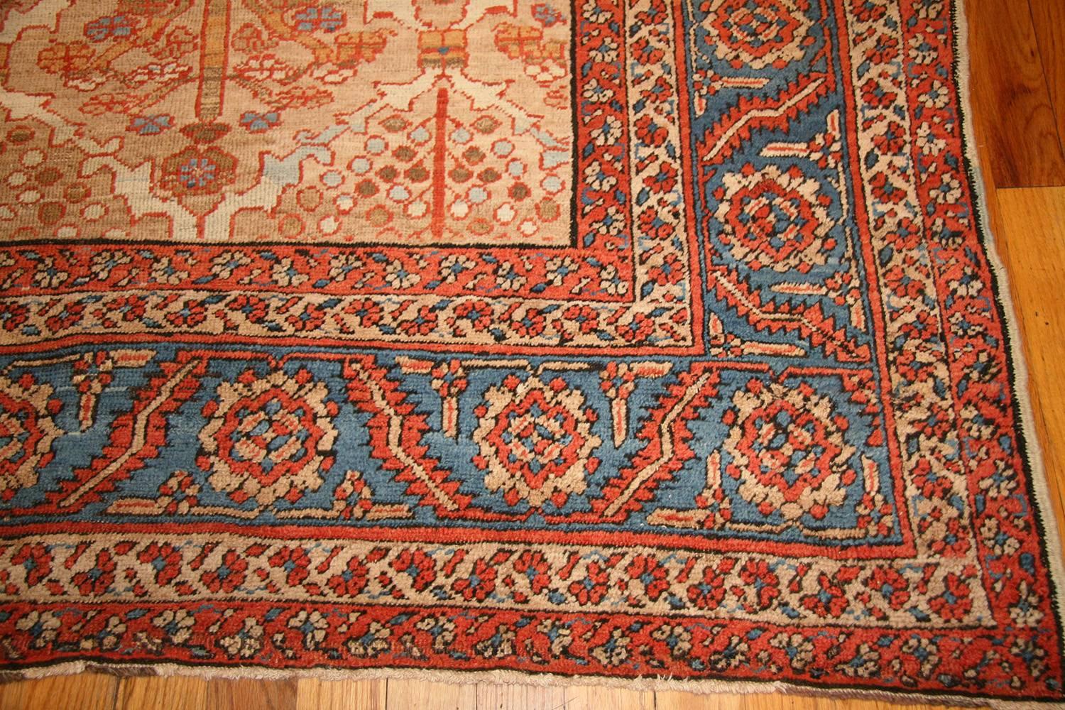 12ft square rug