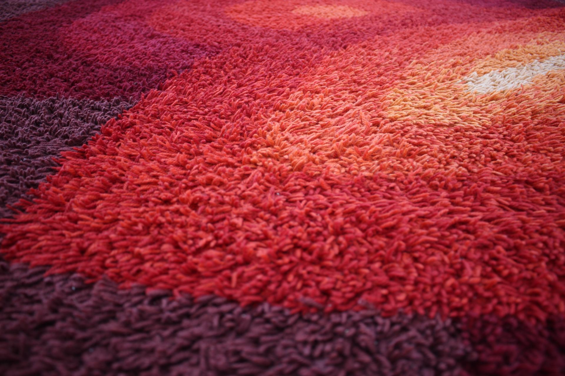 Late 20th Century Beautiful Swiss Midcentury Scandinavian Ege Rya Carpet / Rug, 1970s