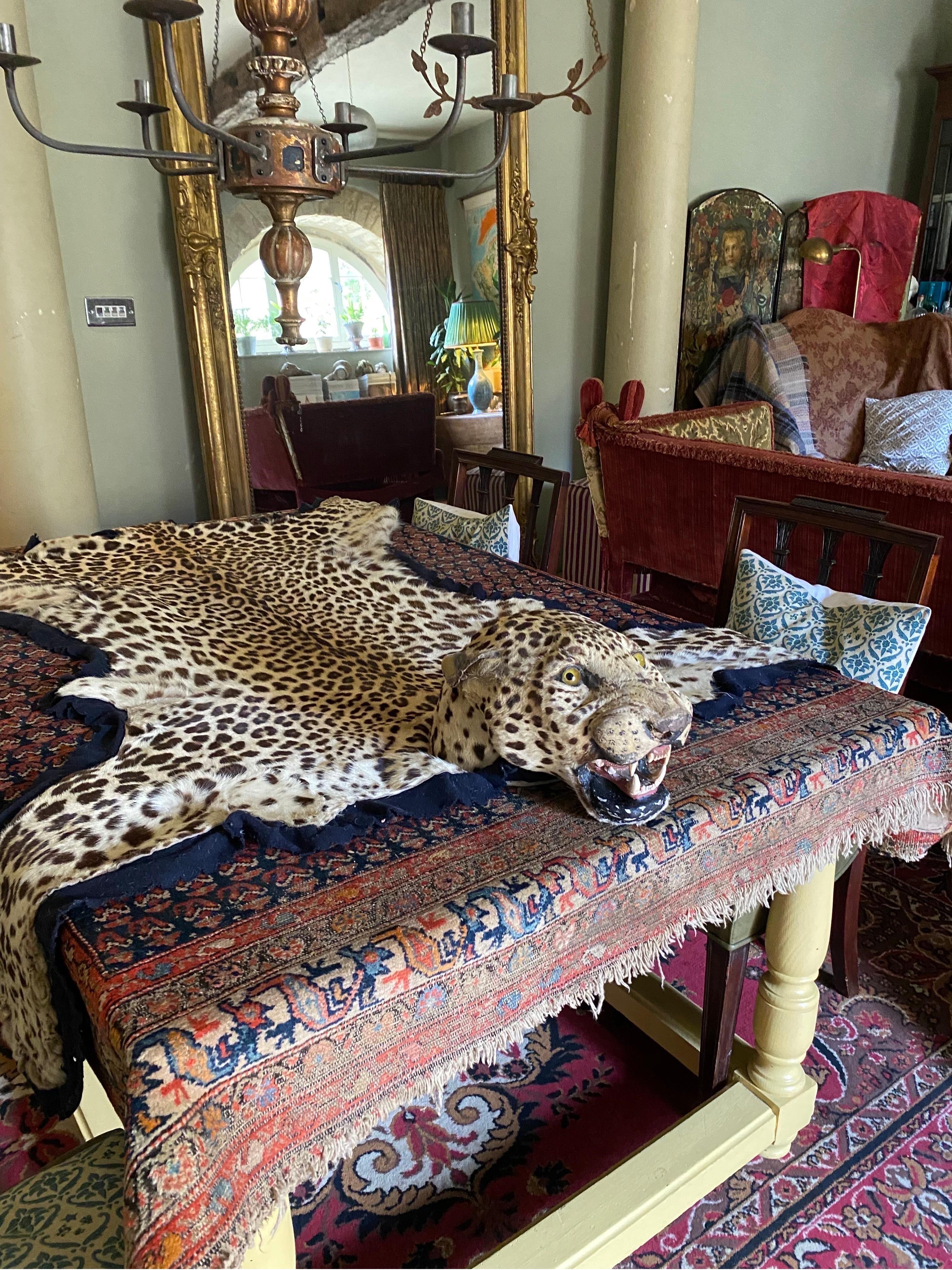 leopard skin rug with head