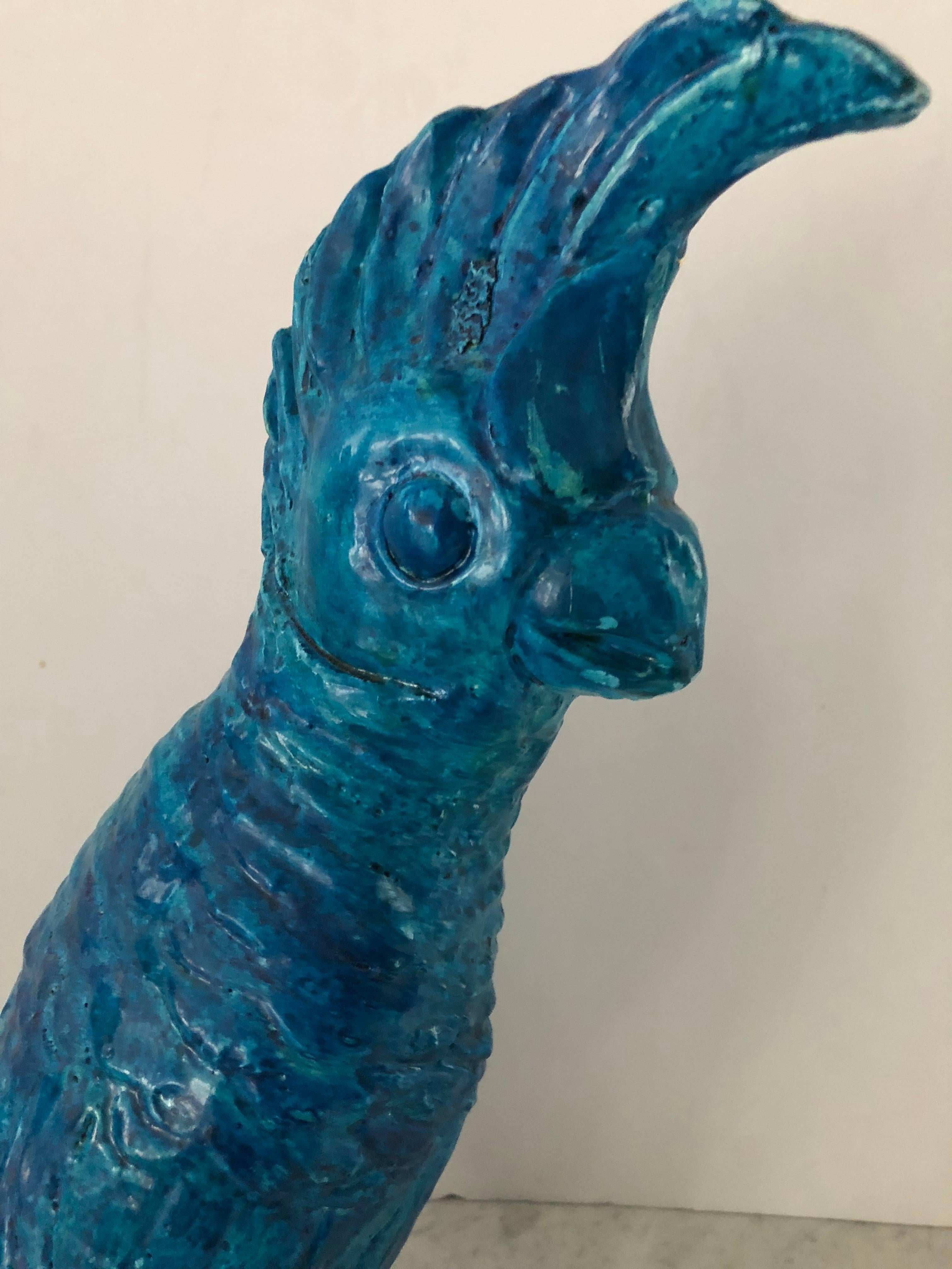 American Beautiful Terracotta Parrot with Bright Turquoise Glaze