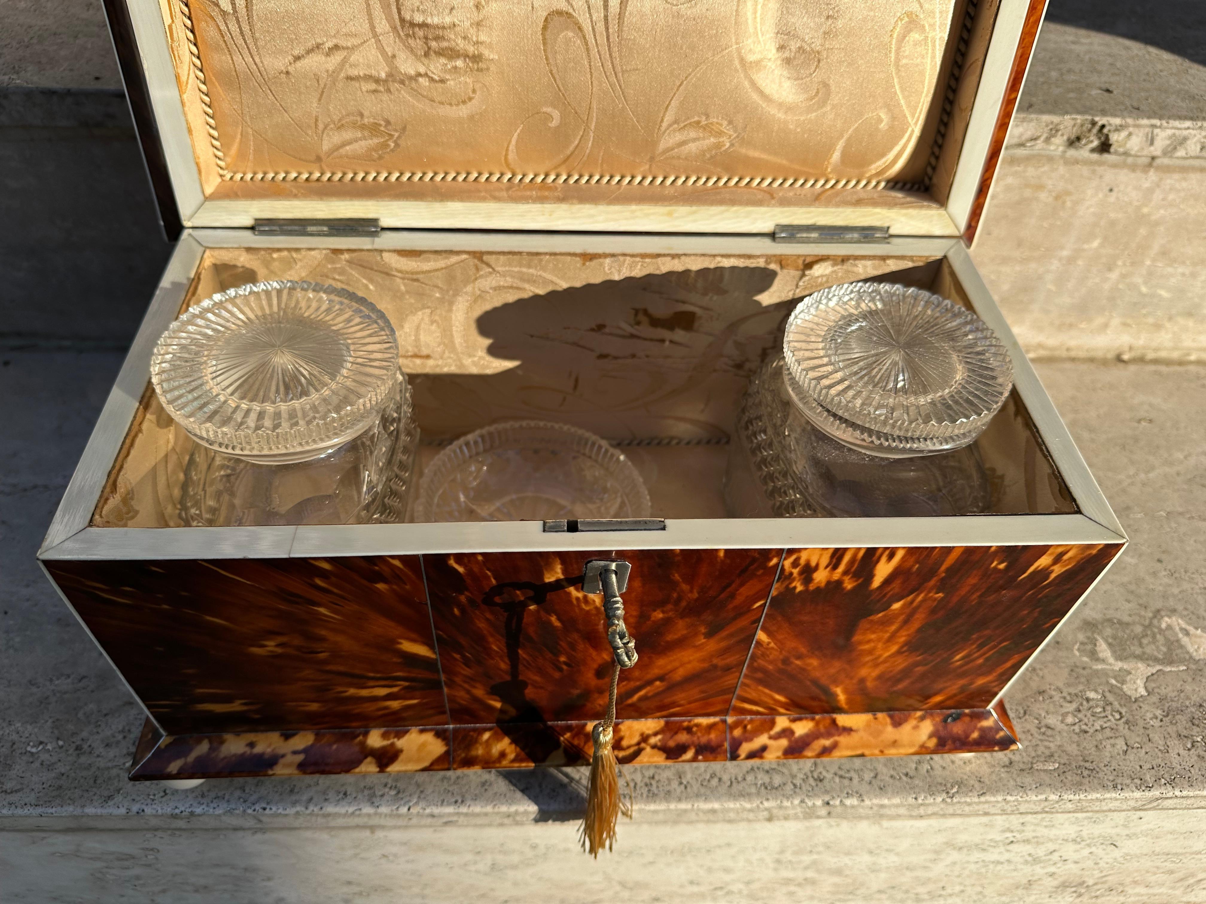 19th Century Beautiful Tortoiseshell Tea Caddy For Sale