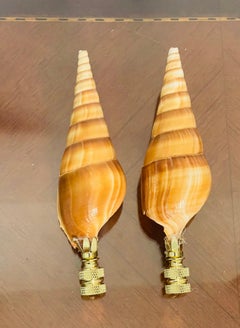 Bellissimo set di due terminali per lampada a forma di conchiglia Turbo