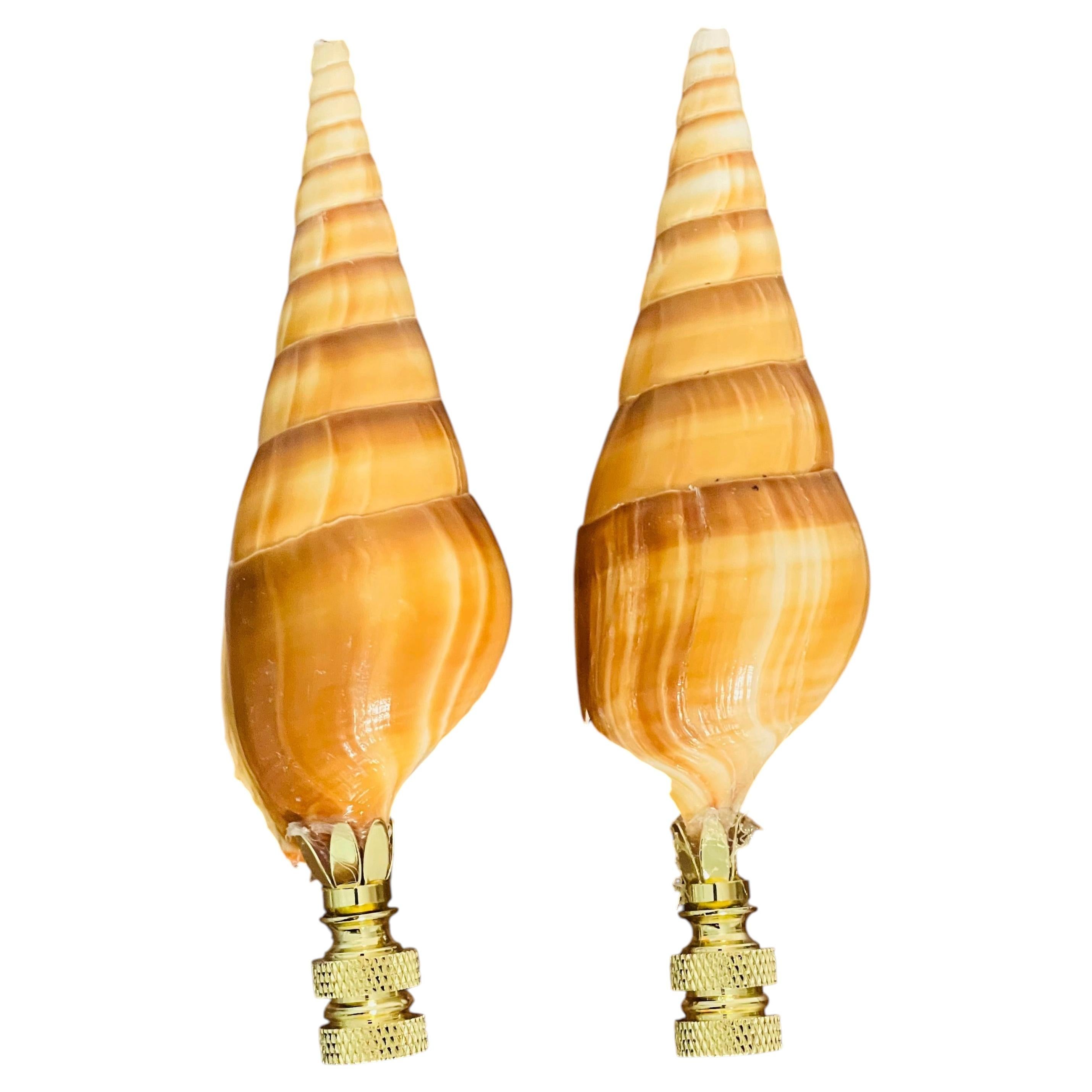 Wunderschönes Lampenendstück-Paar mit Turbo-Muschelmotiven