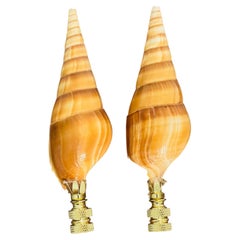 Bellissimo set di due terminali per lampada a forma di conchiglia Turbo