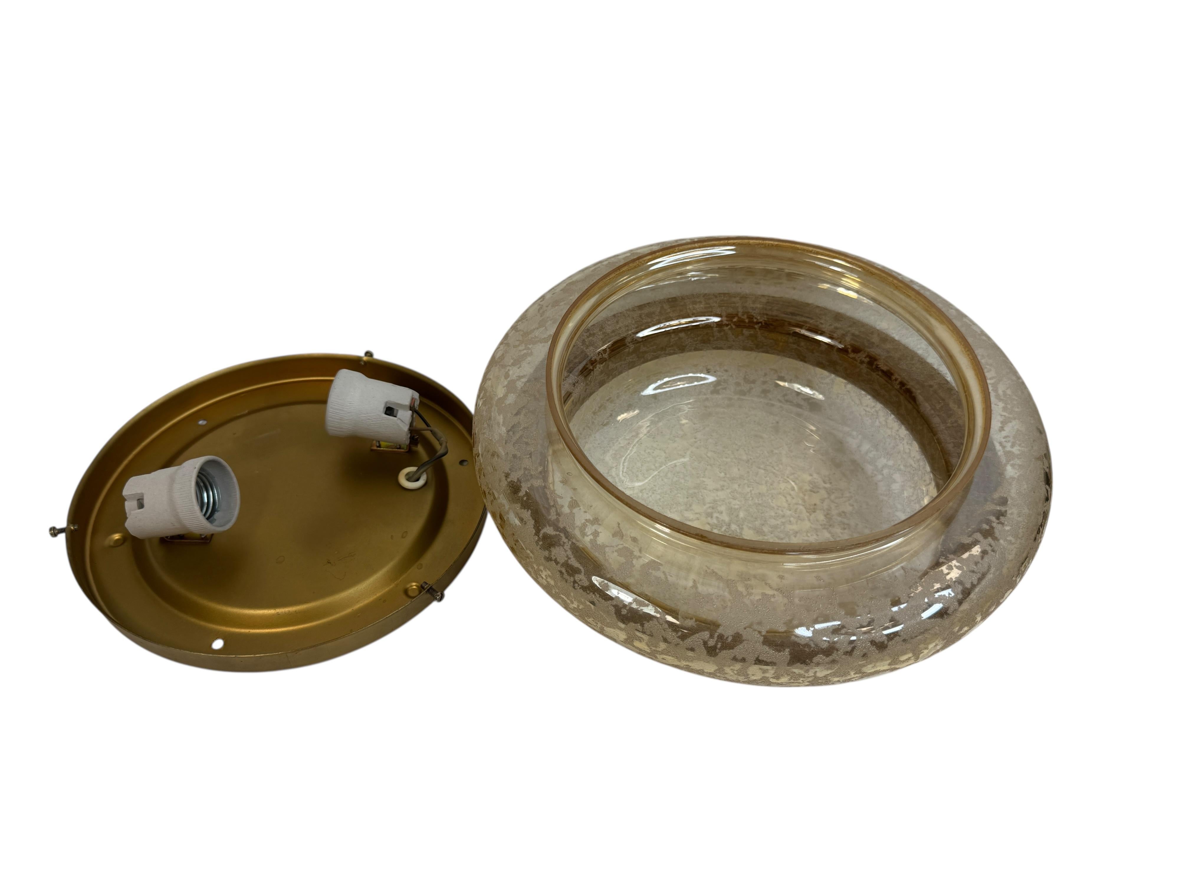 Metal Beautiful two light Organic Pattern Limburg Flush Mount Ceiling Light, 1960s For Sale