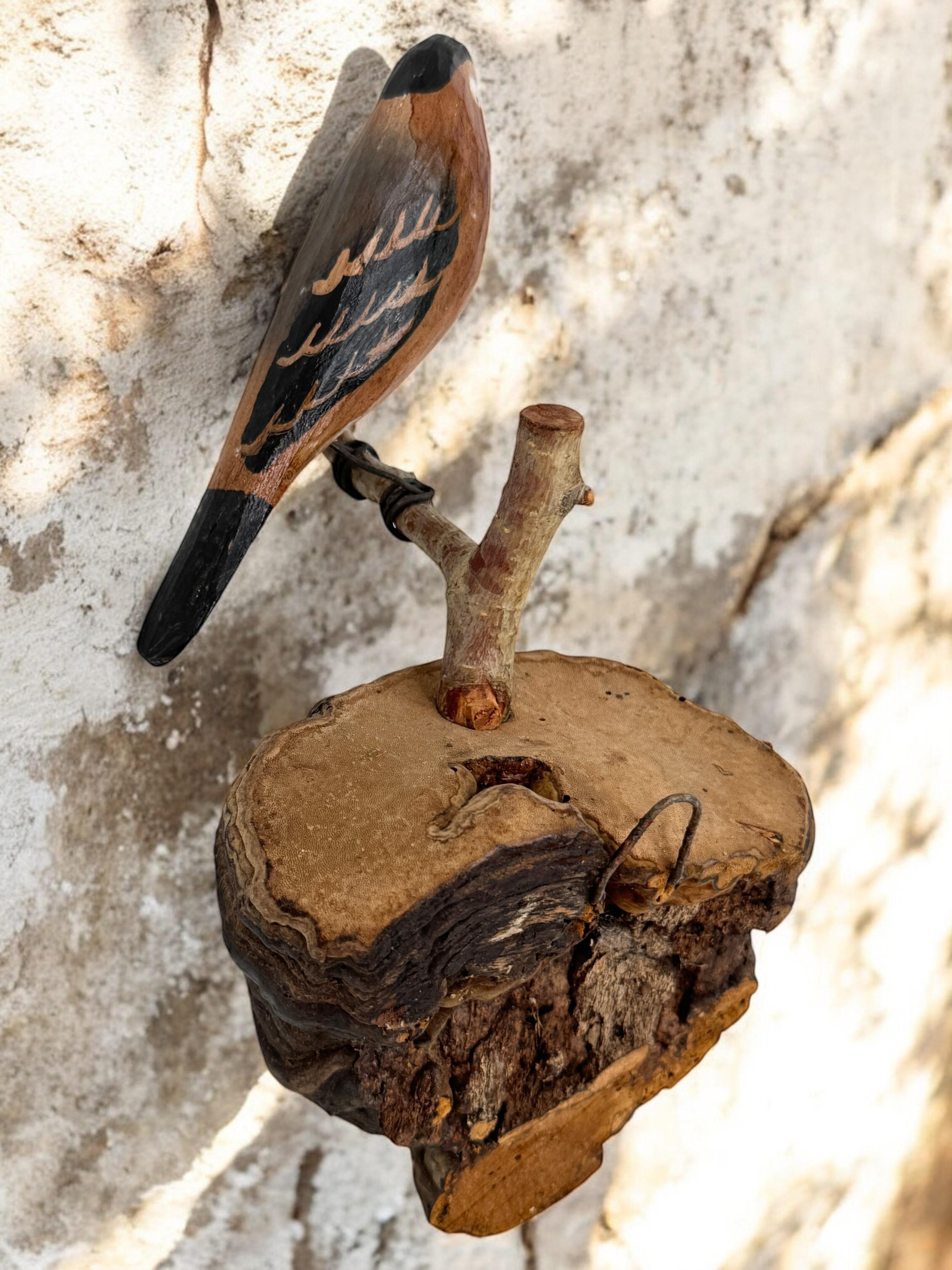 Magnifique oiseau en bois sculpté de Viechtauer Folk Art Black Forest Antique Autriche 1900 en vente 3