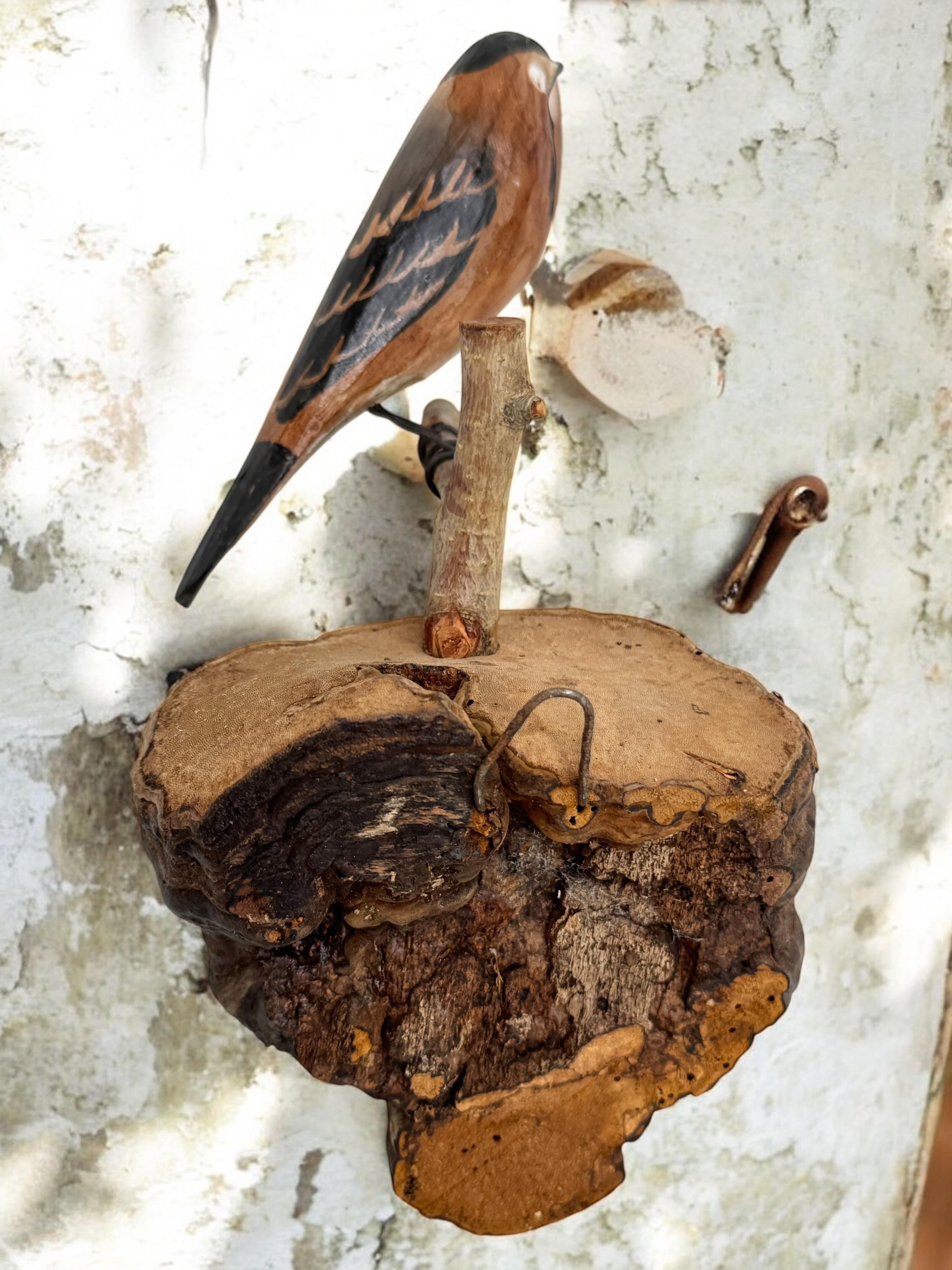 Magnifique oiseau en bois sculpté de Viechtauer Folk Art Black Forest Antique Autriche 1900 en vente 4