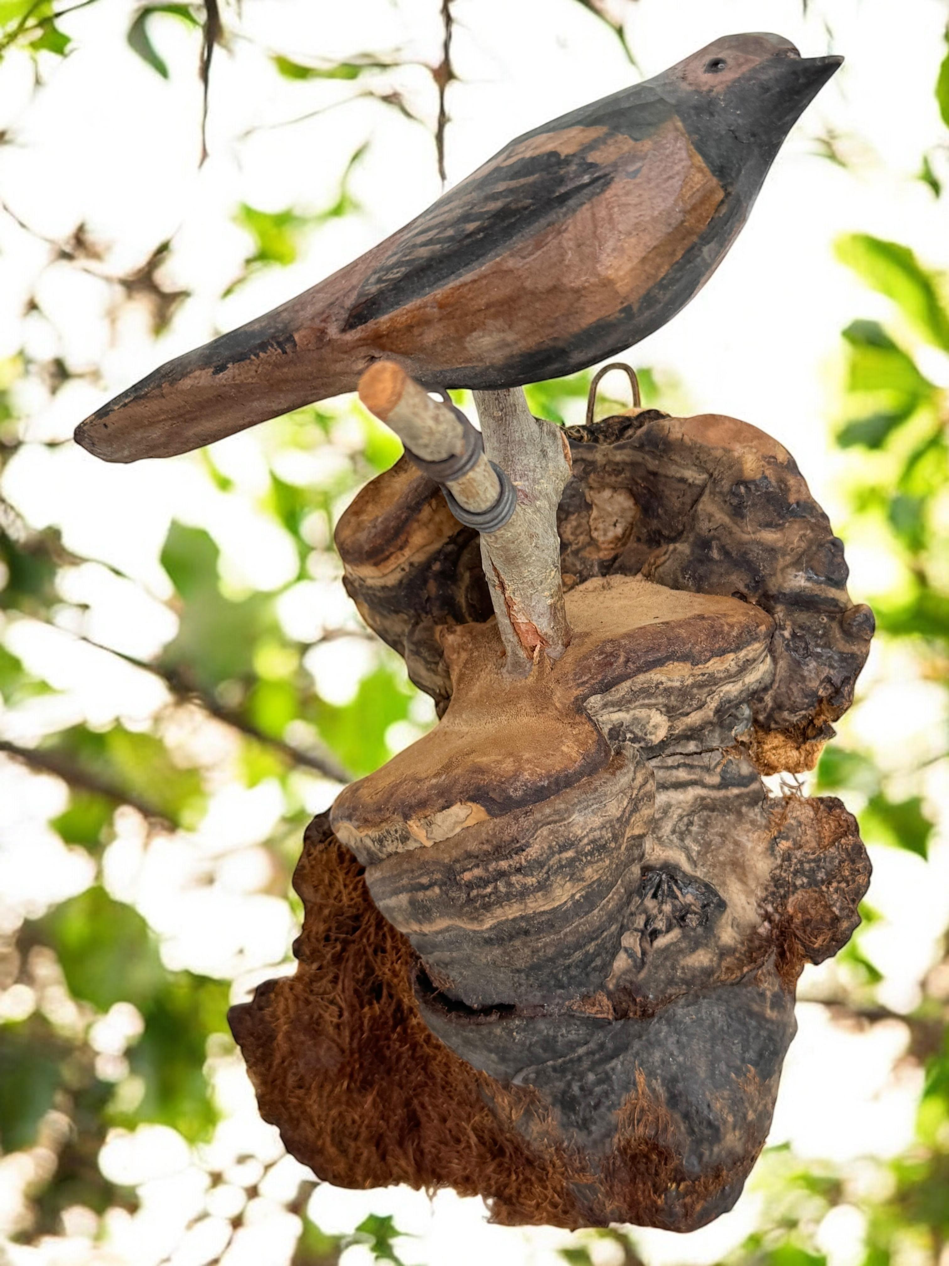 Magnifique oiseau en bois sculpté de Viechtauer Folk Art Black Forest Antique Autriche 1900 en vente 4
