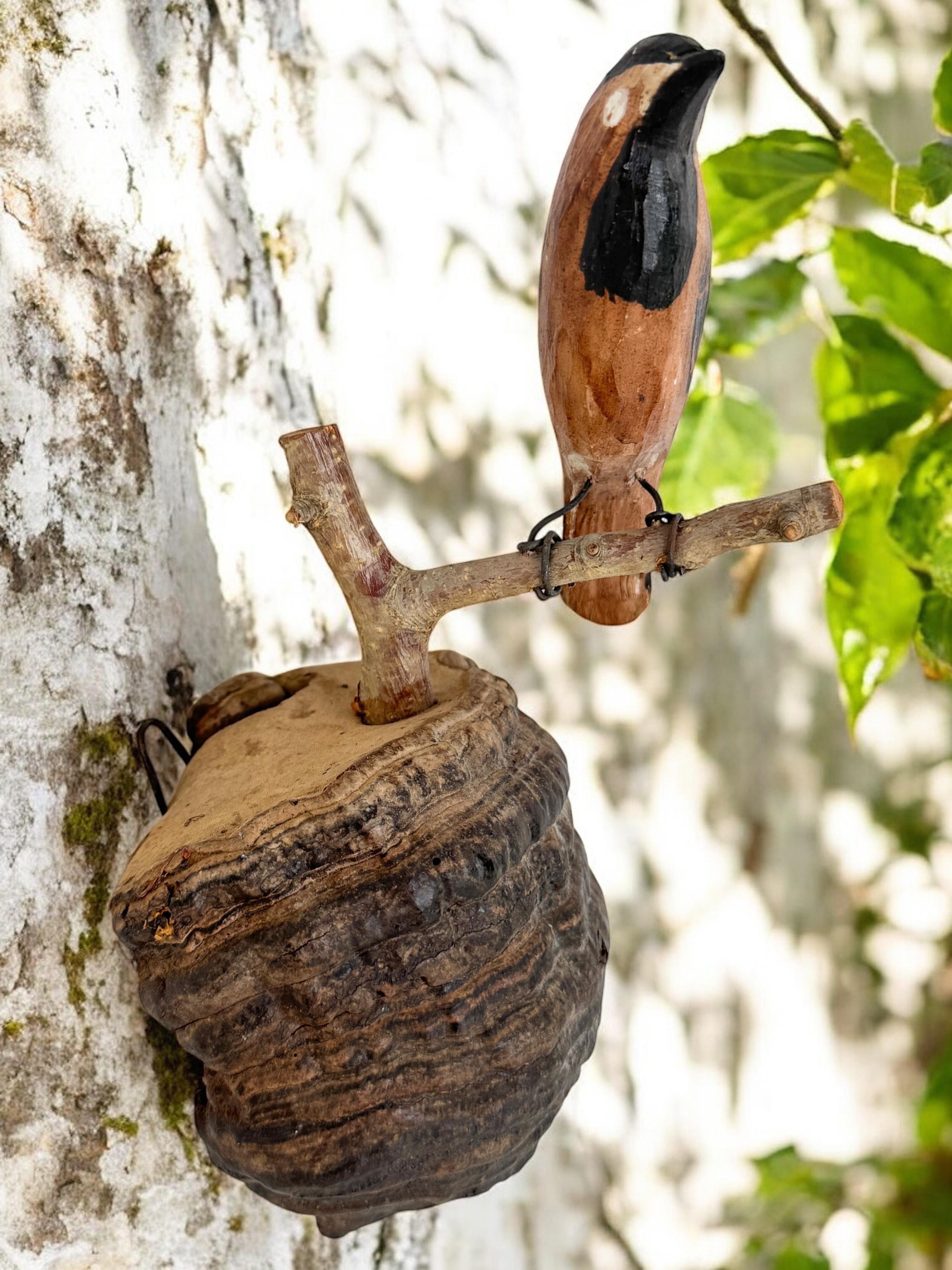 Magnifique oiseau en bois sculpté de Viechtauer Folk Art Black Forest Antique Autriche 1900 en vente 5