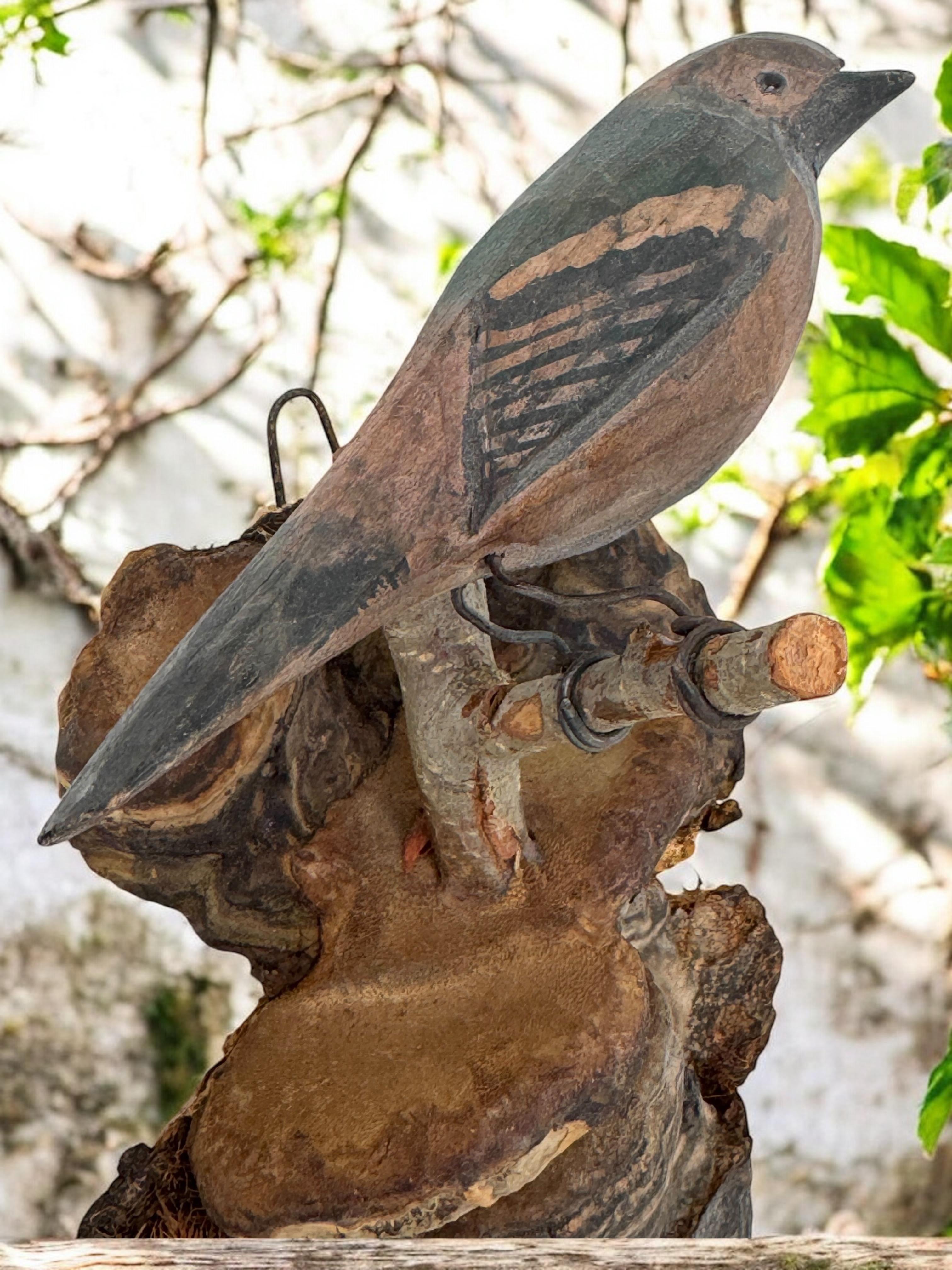 Magnifique oiseau en bois sculpté de Viechtauer Folk Art Black Forest Antique Autriche 1900 en vente 10