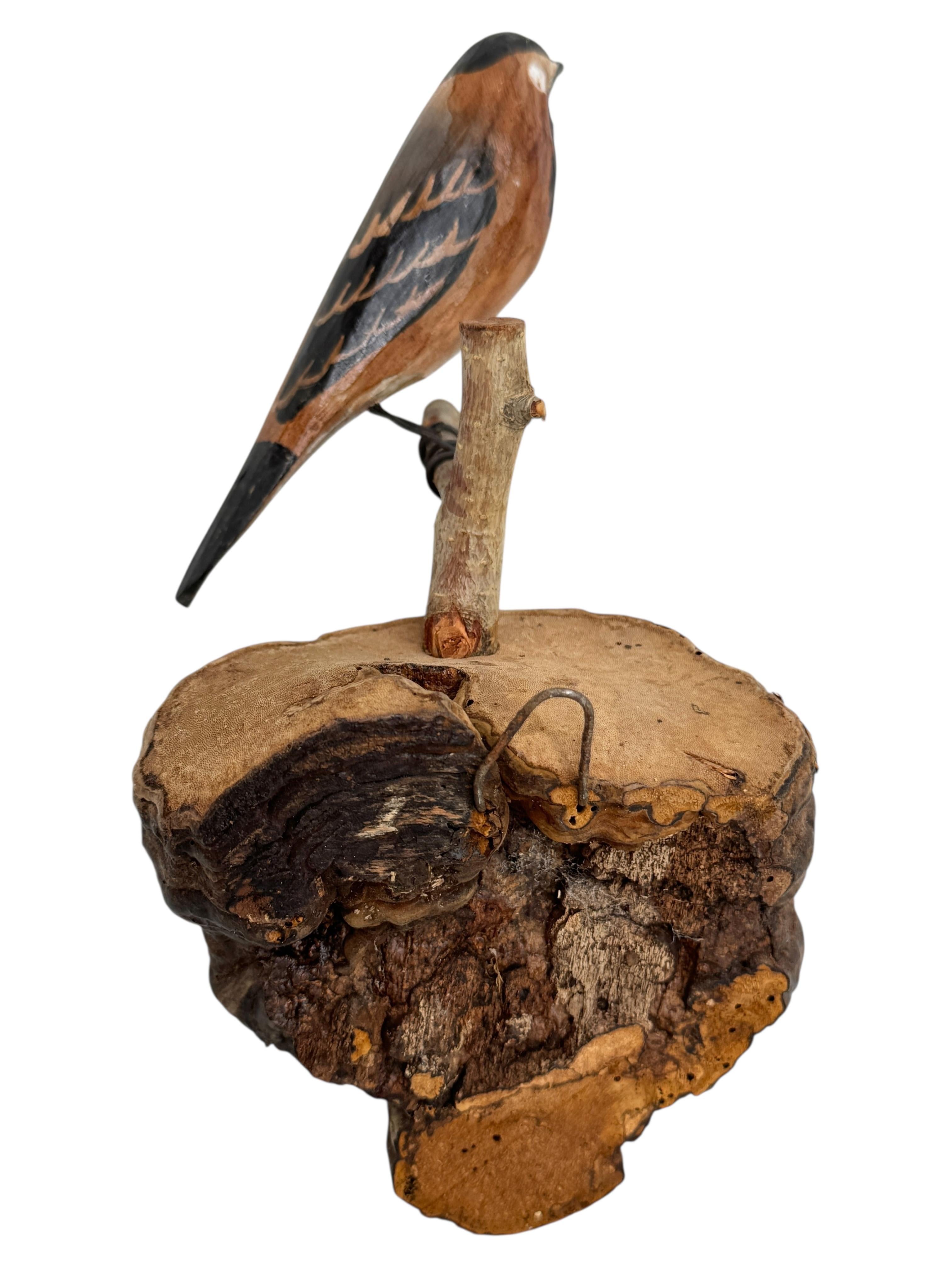 Sculpté à la main Magnifique oiseau en bois sculpté de Viechtauer Folk Art Black Forest Antique Autriche 1900 en vente