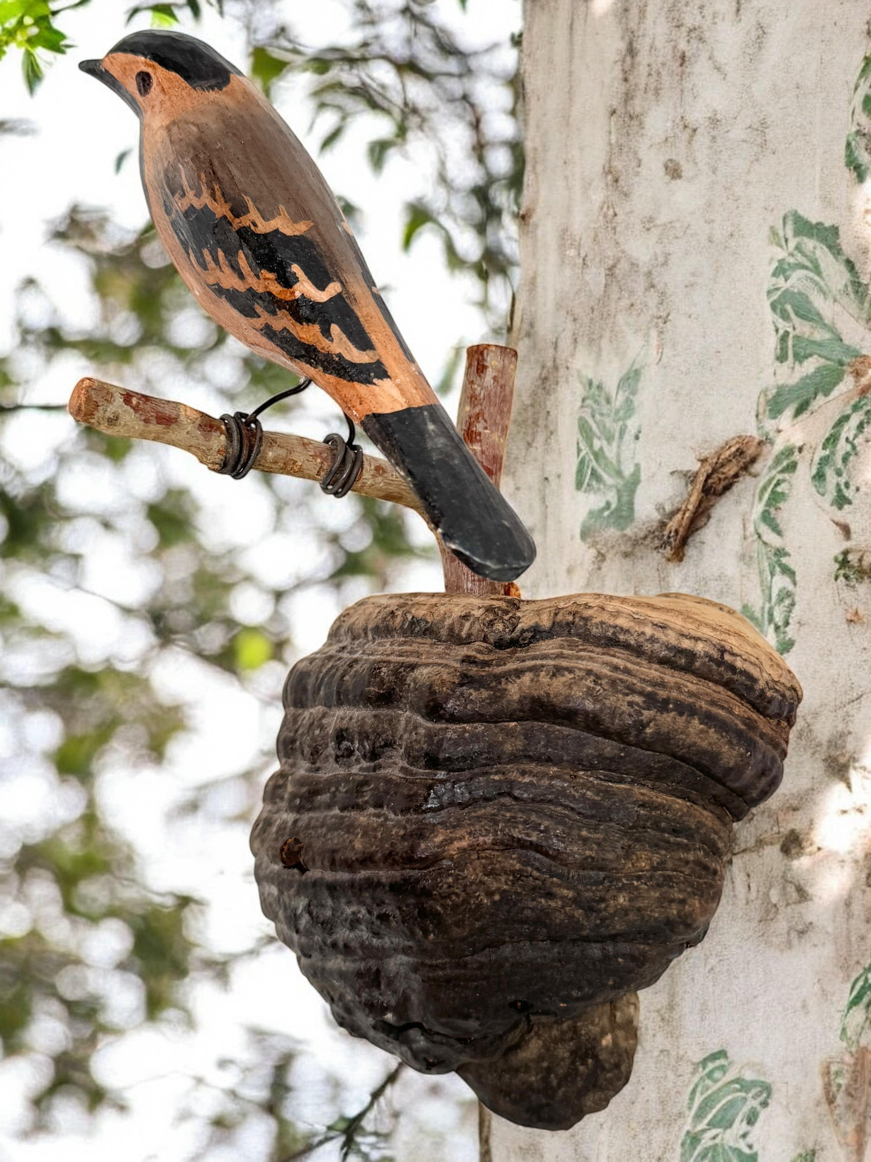 Magnifique oiseau en bois sculpté de Viechtauer Folk Art Black Forest Antique Autriche 1900 en vente 1