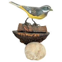 Beautiful Vichtauer Hand Carved Wood Bird, Black Forest Folk Art, Austria, 1910s