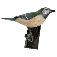 Beautiful Vichtauer Hand Carved Wood Bird, Black Forest Folk Art, Austria, 1910s