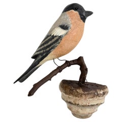 Beautiful Vichtauer Hand Carved Wood Bird, Black Forest Folk Art, Austria, 1910s