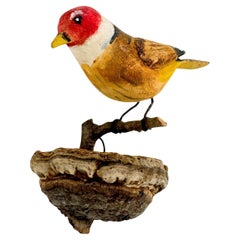 Beautiful Viechtauer Hand Carved Wood Bird, Black Forest Folk Art Austria, 1920s