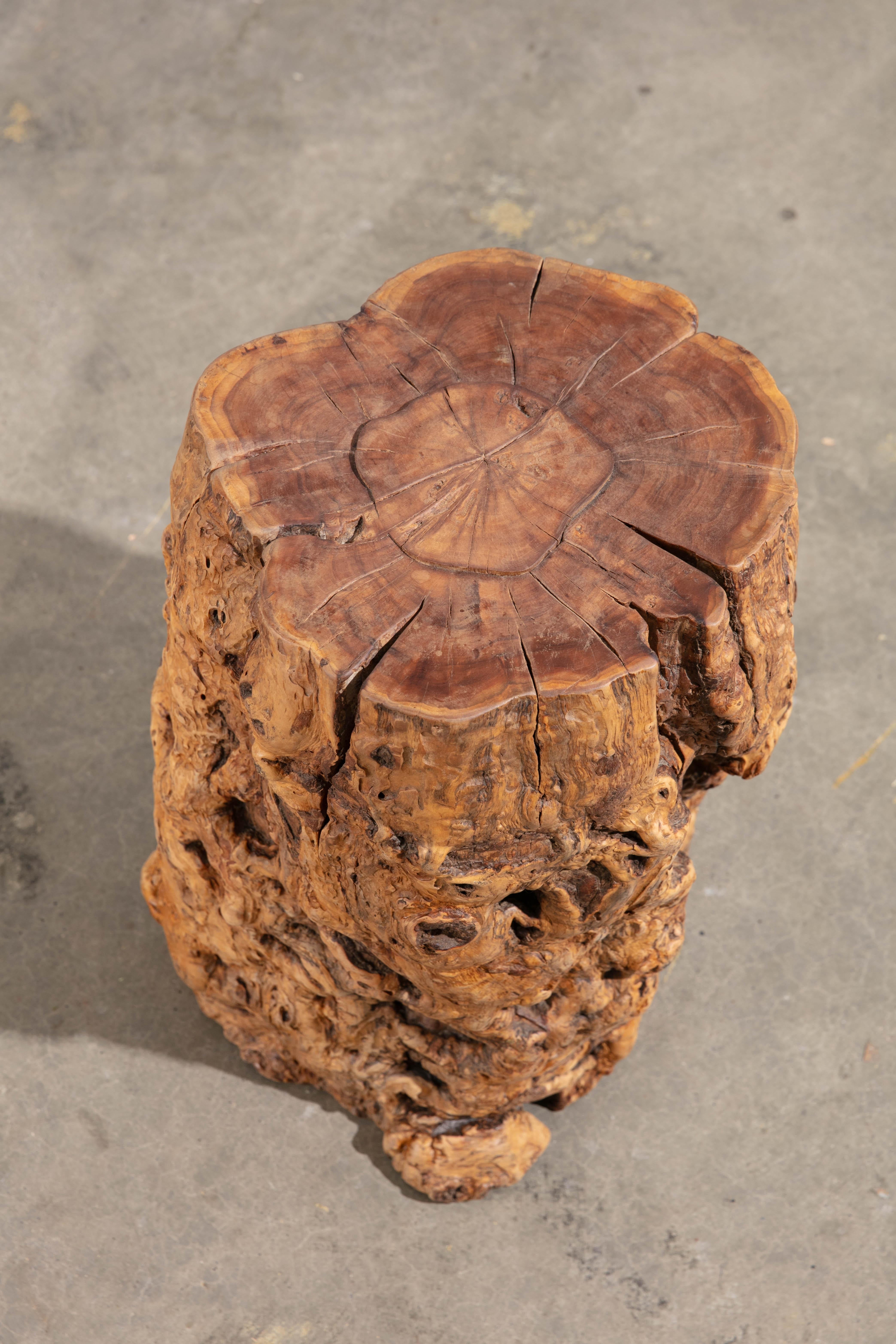 Funky and fun vintage burlwood side table/object. Unique organic texture with irregular surface filled with knots crevices and natural indentations. Rich warm tones and earthy aesthetic. Great subtle statement for many interior styles. 