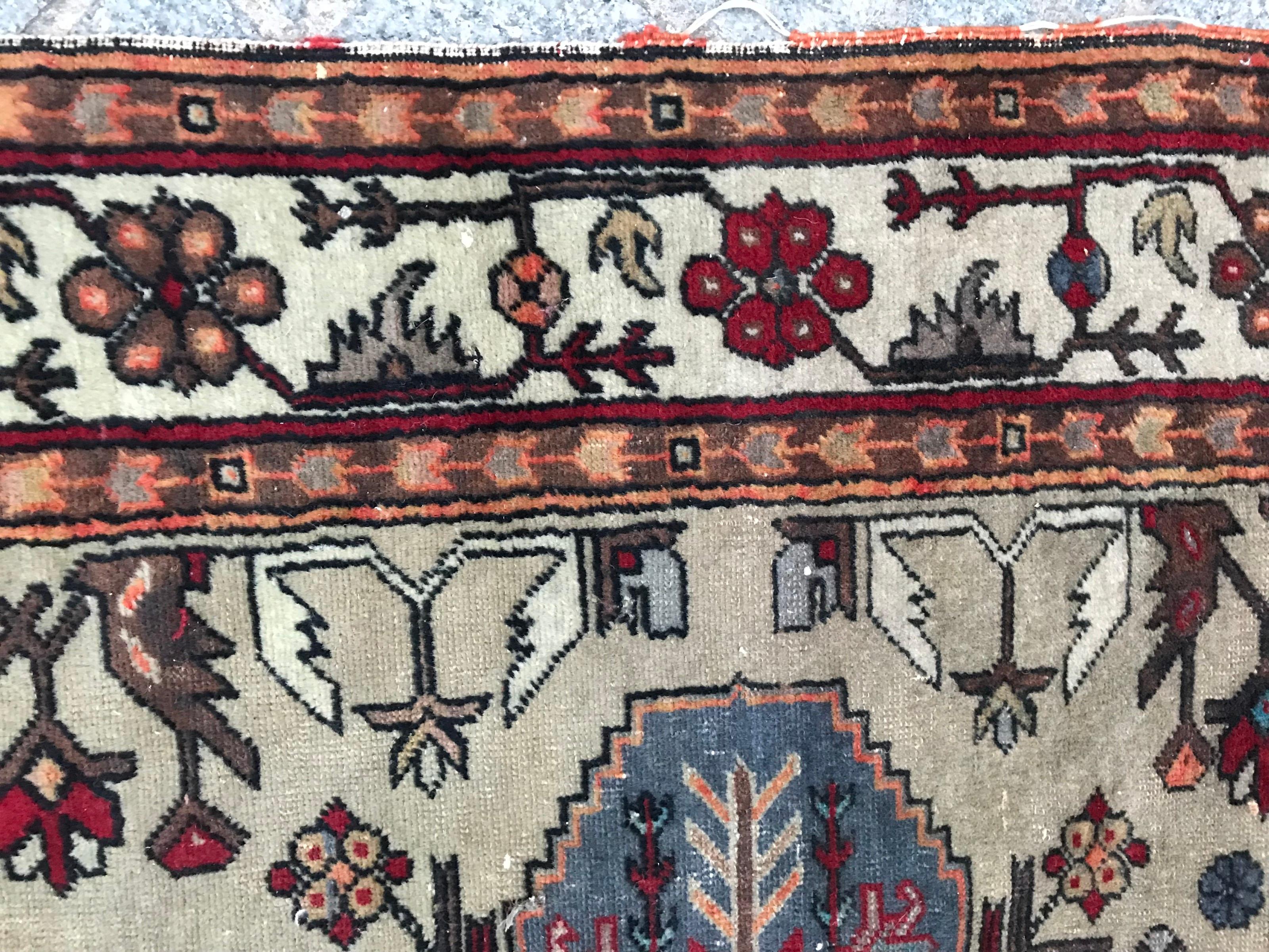 Beautiful Vintage Caucasian Shirwan Rug 5