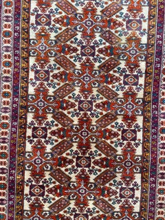 Bobyrug’s Beautiful Vintage Caucasian Shirwan Rug