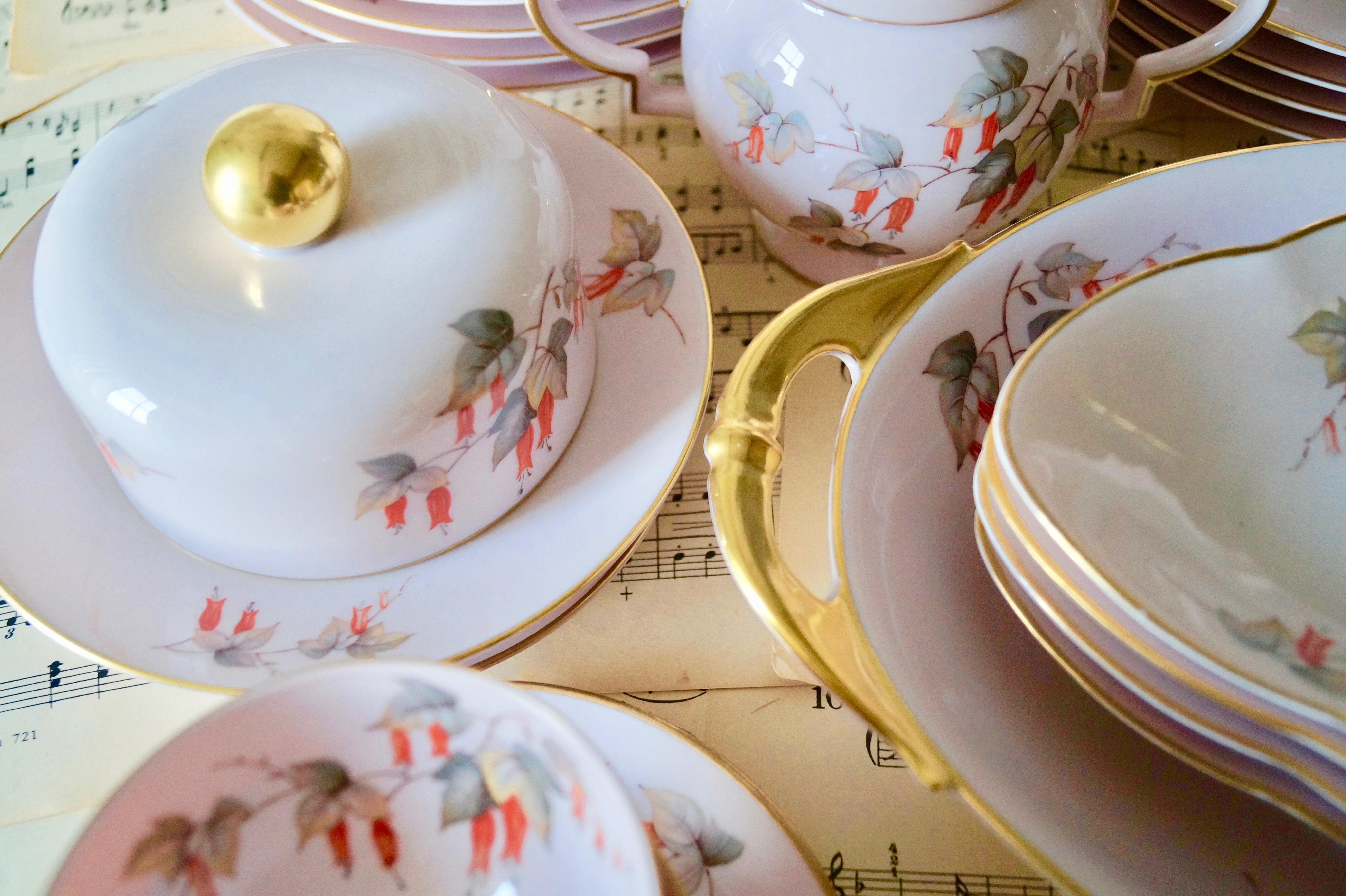 French Beautiful Vintage Jean Haviland Porcelain Tea Luncheon Service, France, 1960s