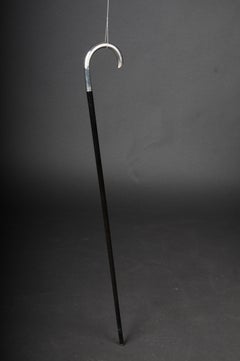 Beautiful Walking Stick with 800 Silver Handle