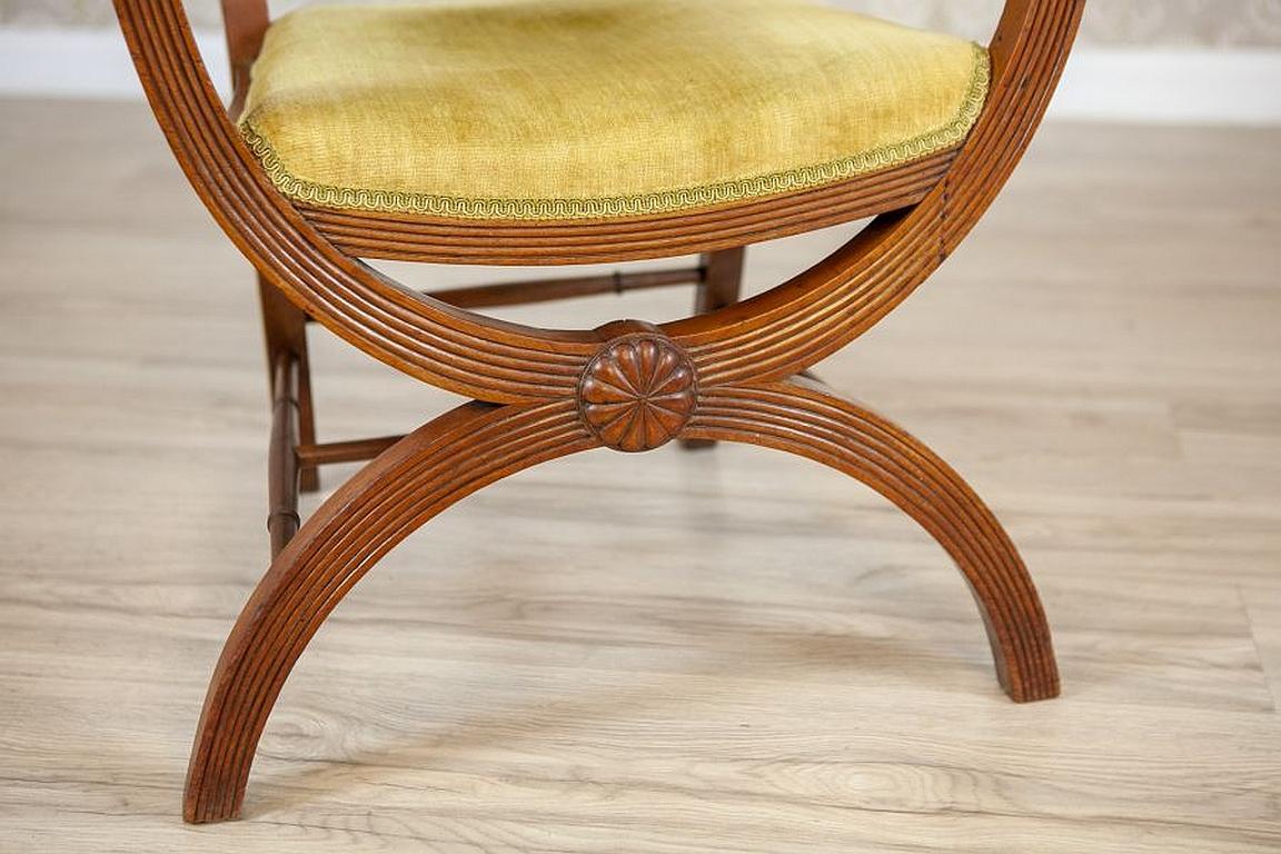 Beautiful Walnut Armchair from the, Early 20th Century im Angebot 6