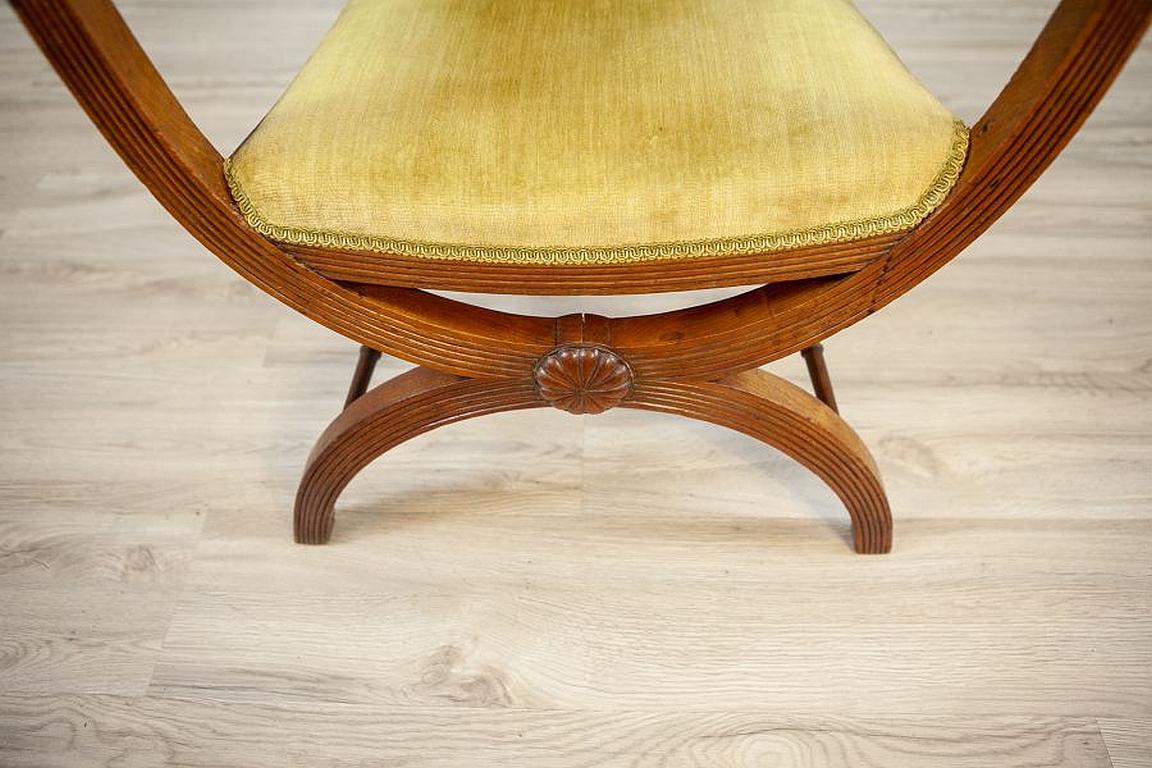 Beautiful Walnut Armchair from the, Early 20th Century im Angebot 7